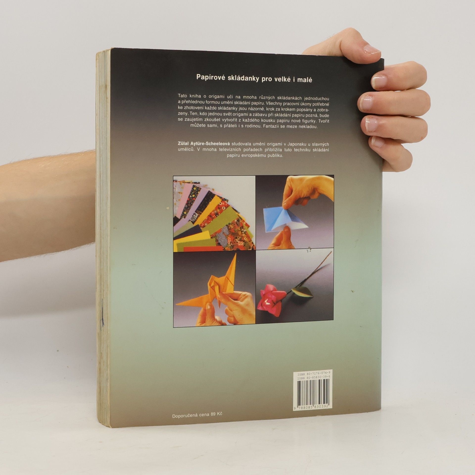 Zülal AytüreScheele Hobby origami