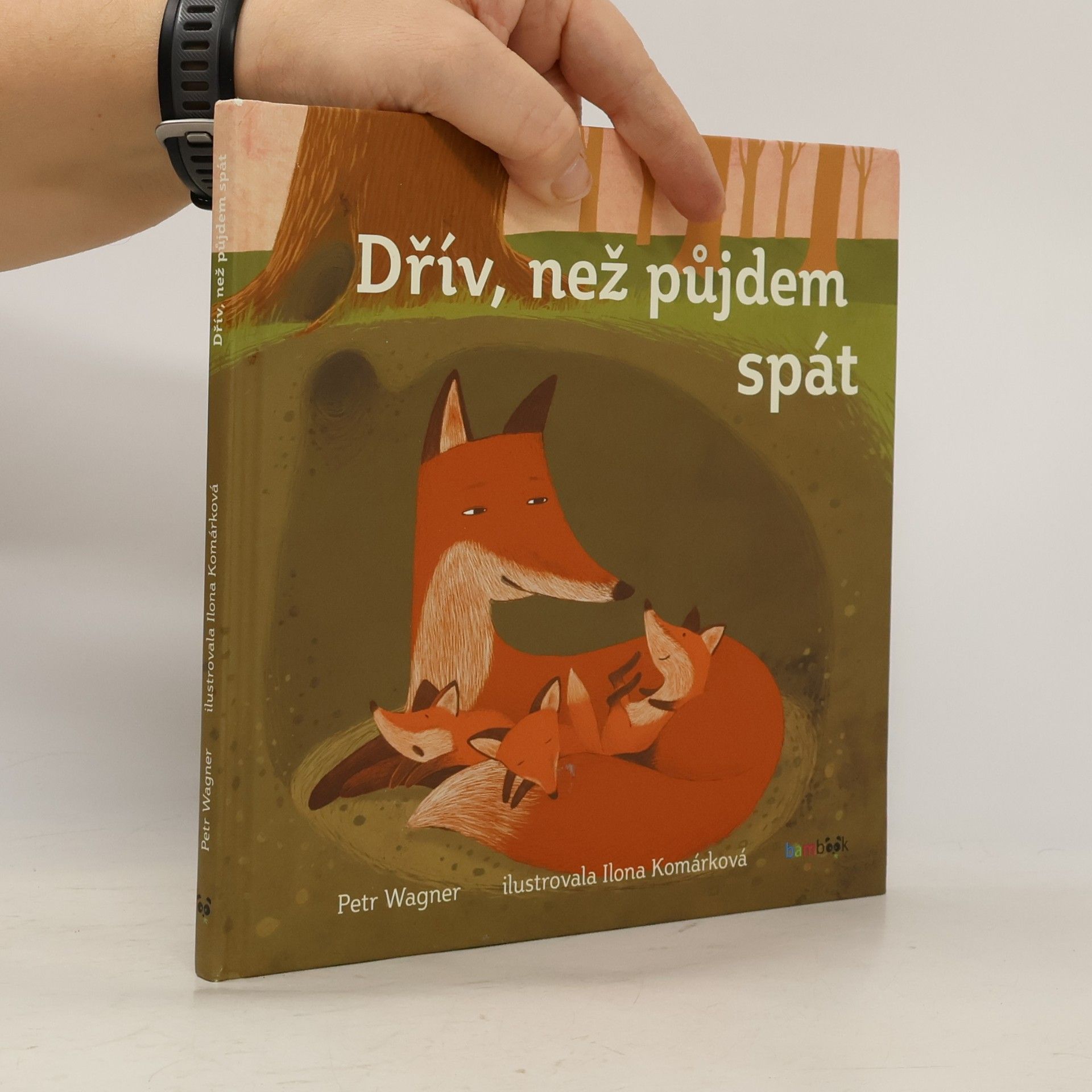 Petr Wagner Dřív než půjdem spát