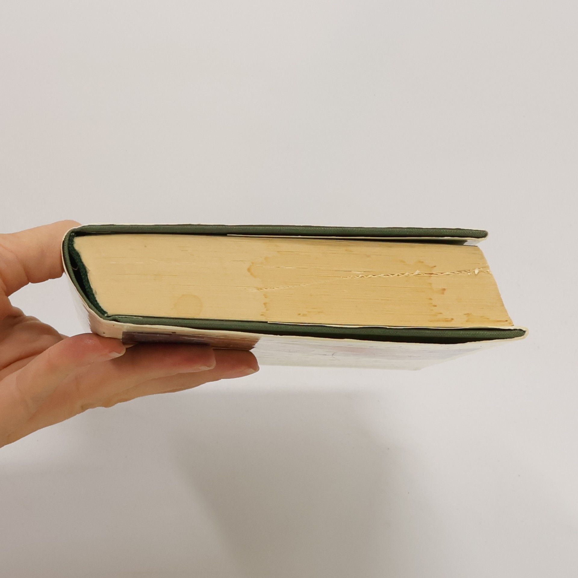 Milan Kundera Das Buch der lächerlichen Liebe