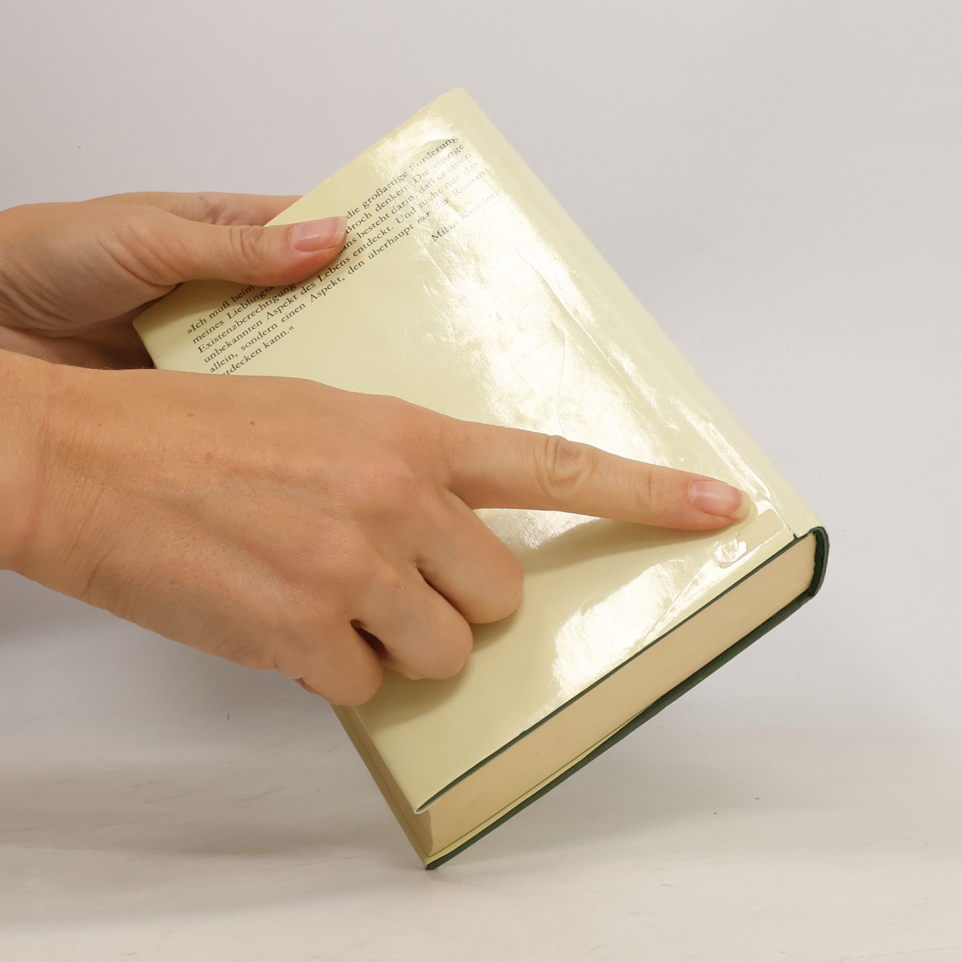 Milan Kundera Das Buch der lächerlichen Liebe