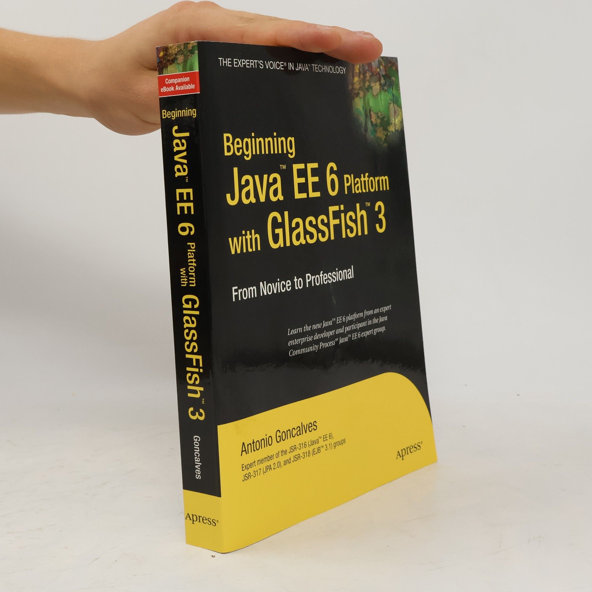 Antonio Goncalves Beginning Java EE 6 Platform with GlassFish 3