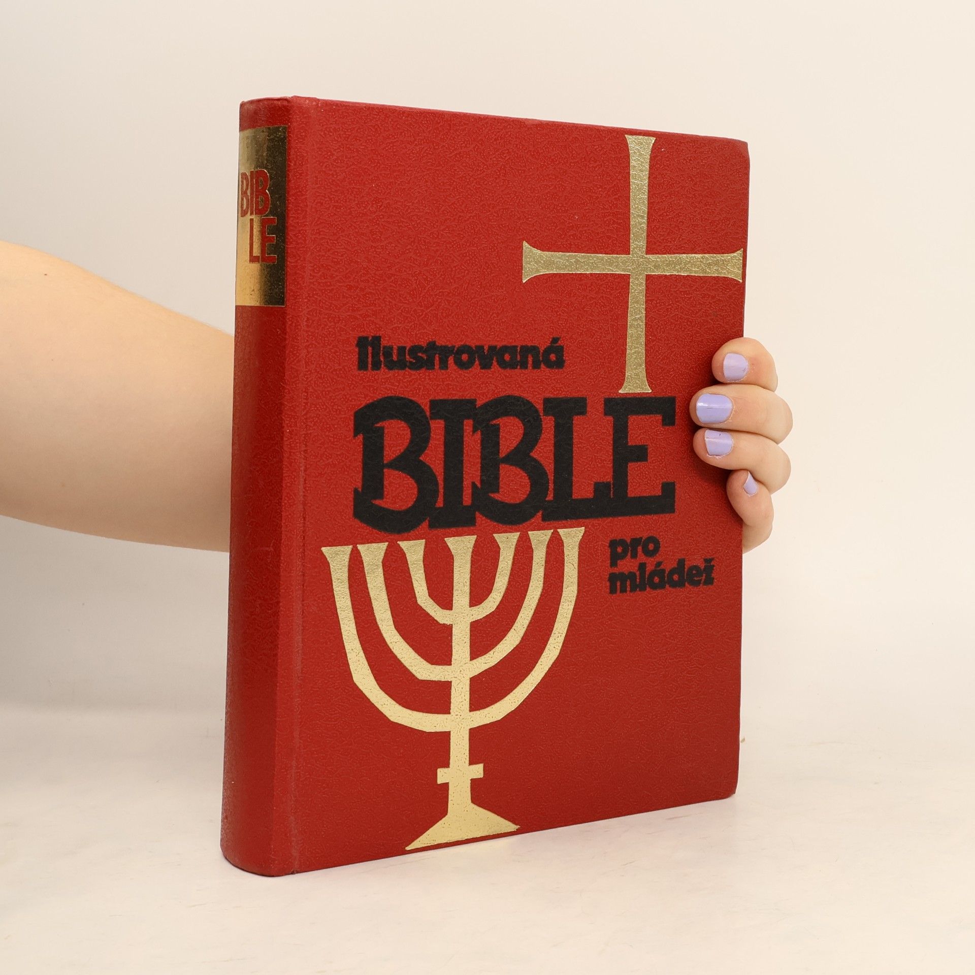 Samuel Terrien Ilustrovaná Bible pro mládež