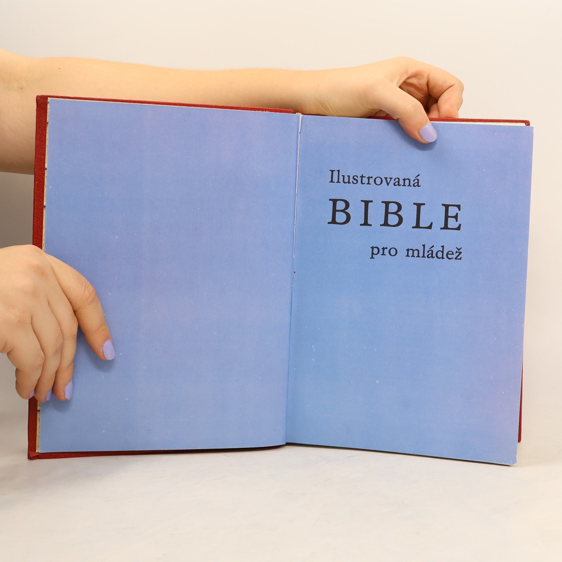 Samuel Terrien Ilustrovaná Bible pro mládež