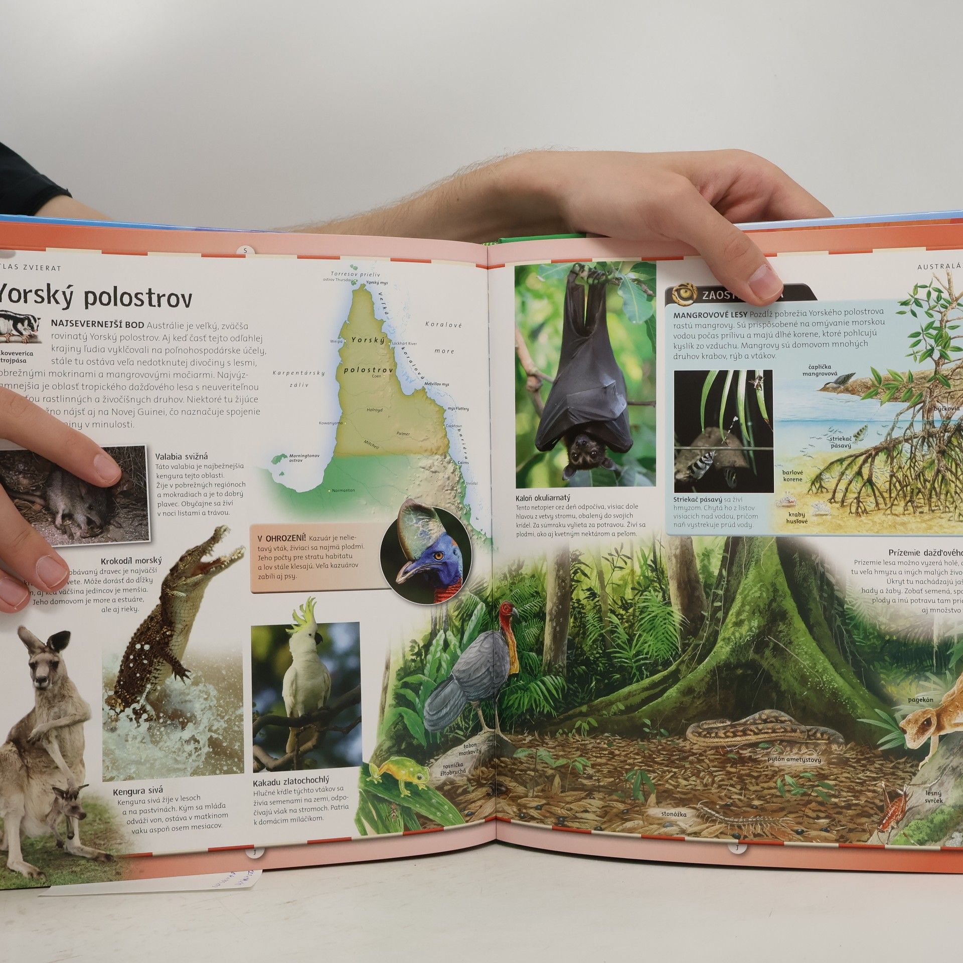 Autorenkollektiv Atlas zvierat