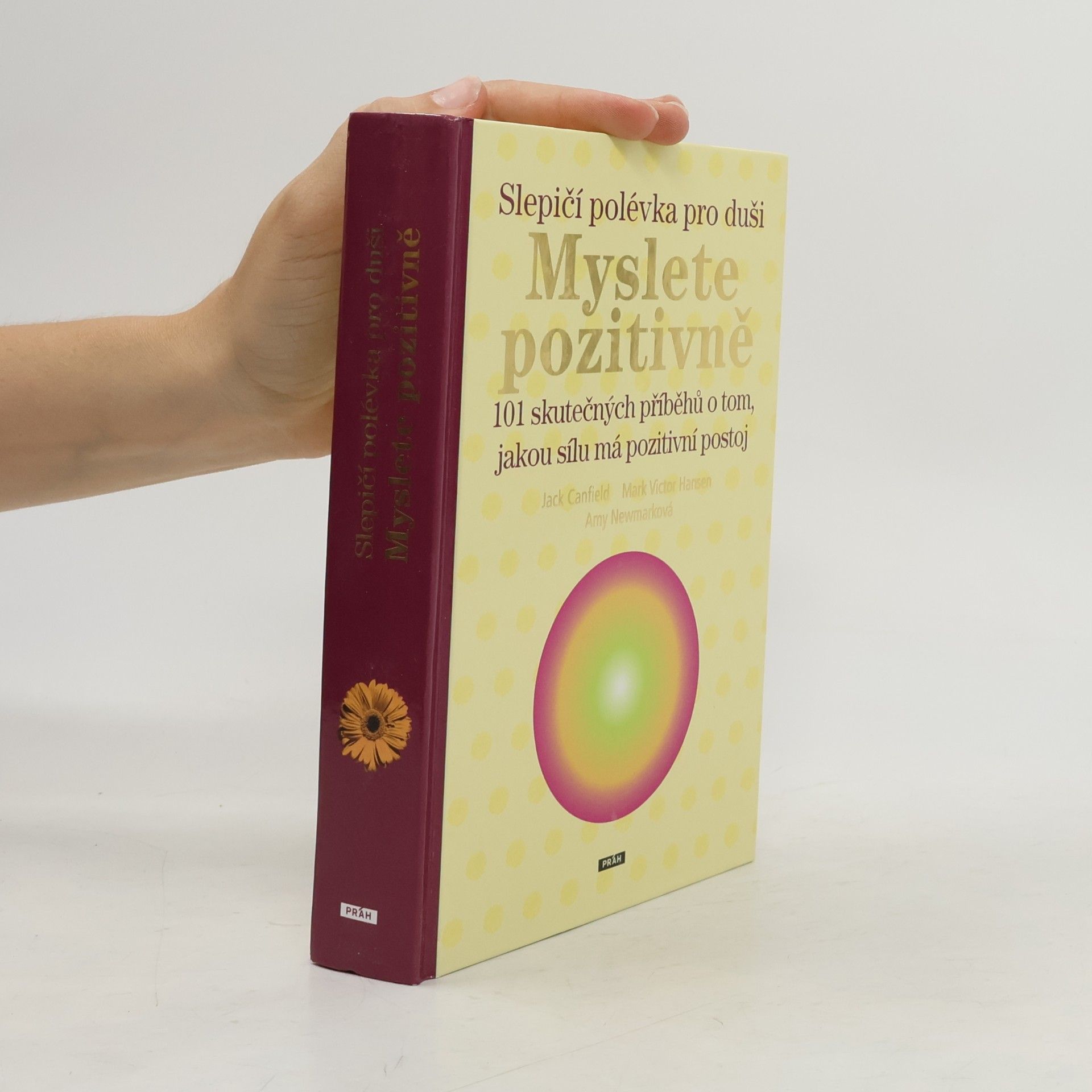 Amy Newmark Slepičí polévka pro duši: Myslete pozitivně