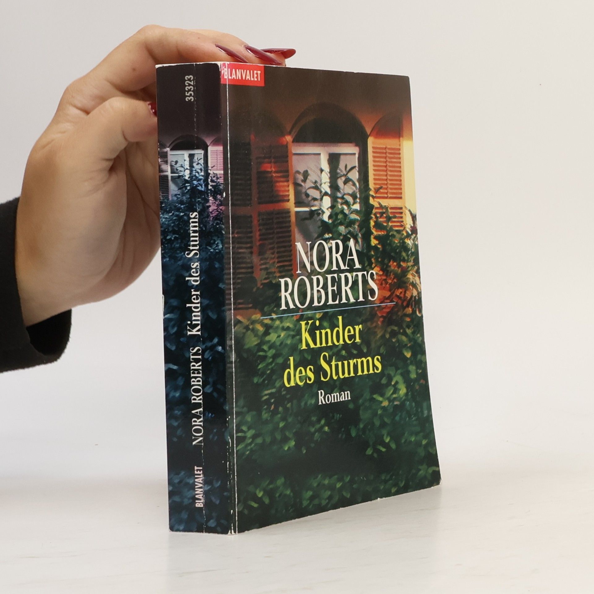 Nora Roberts Kinder des Sturms