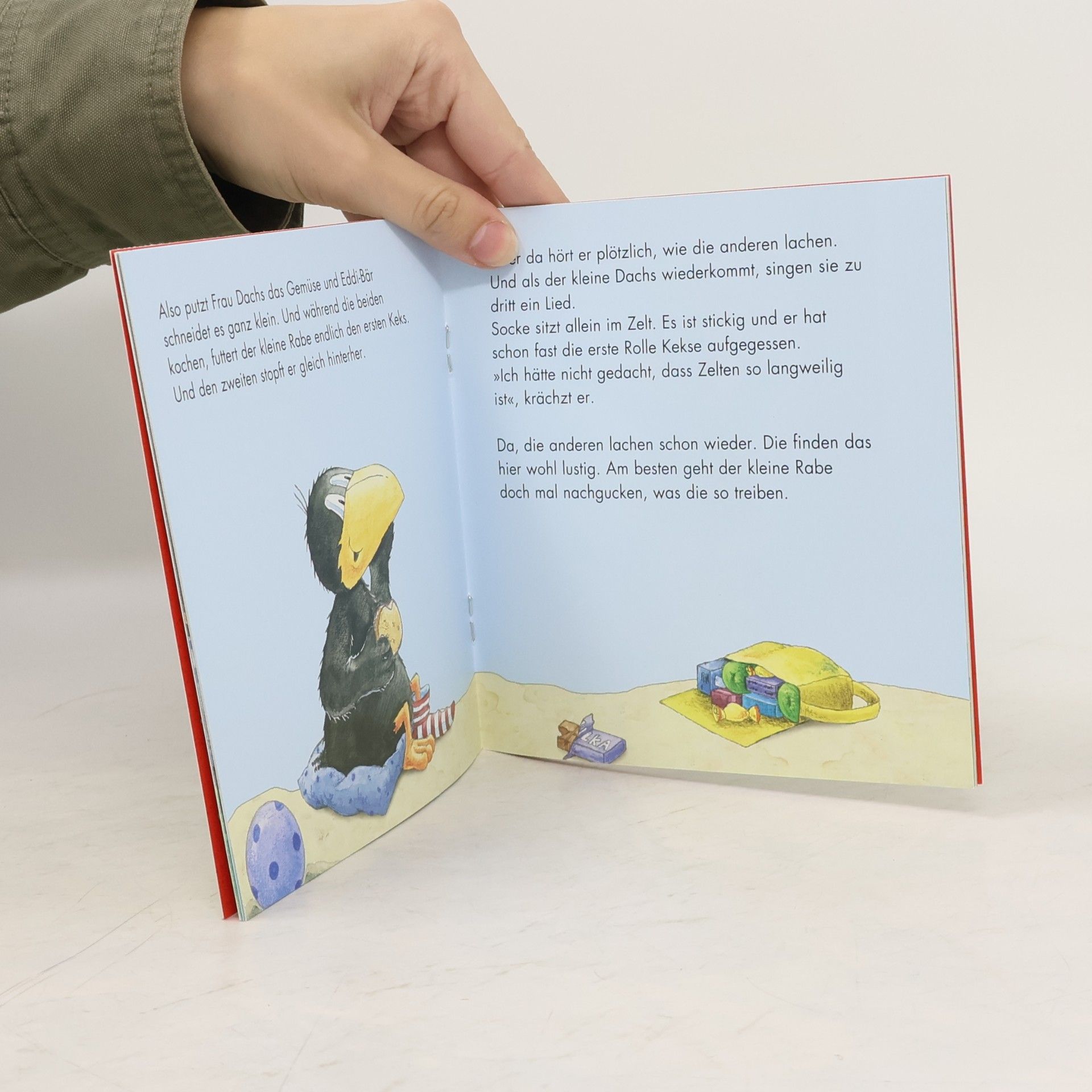 Nele Moost Der kleine Rabe Socke kann auch helfen