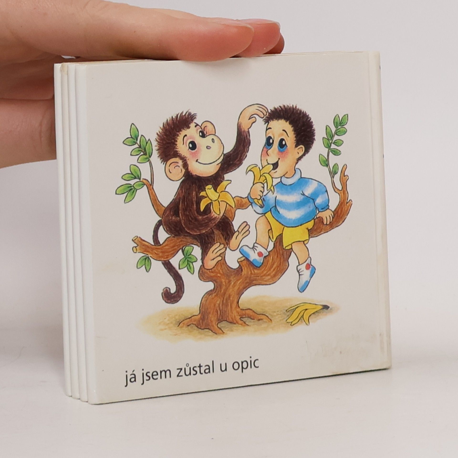 Jan Vodňanský Písnička v ZOO (leporelo)