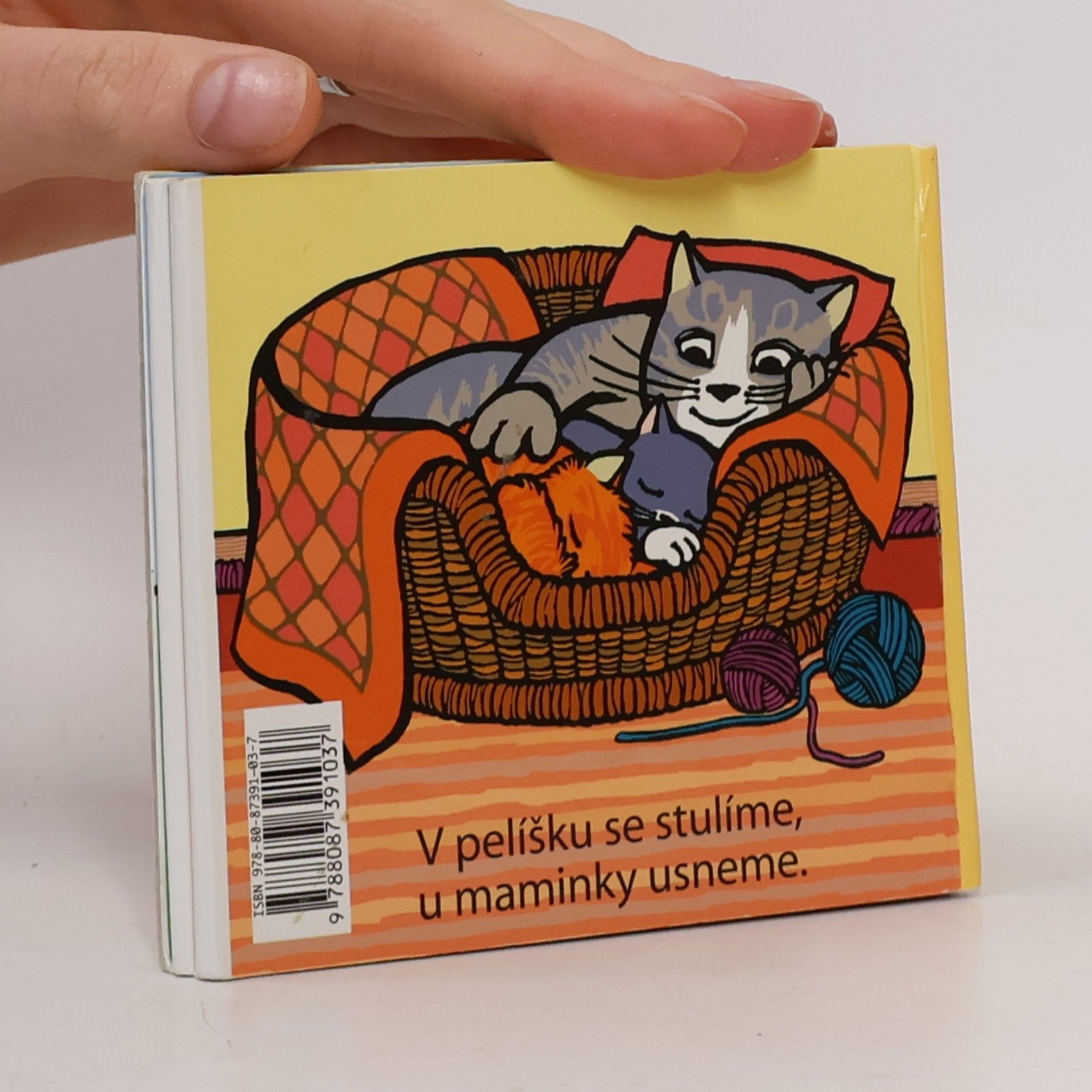 Jan Jelen Jak kočička našla kamaráda