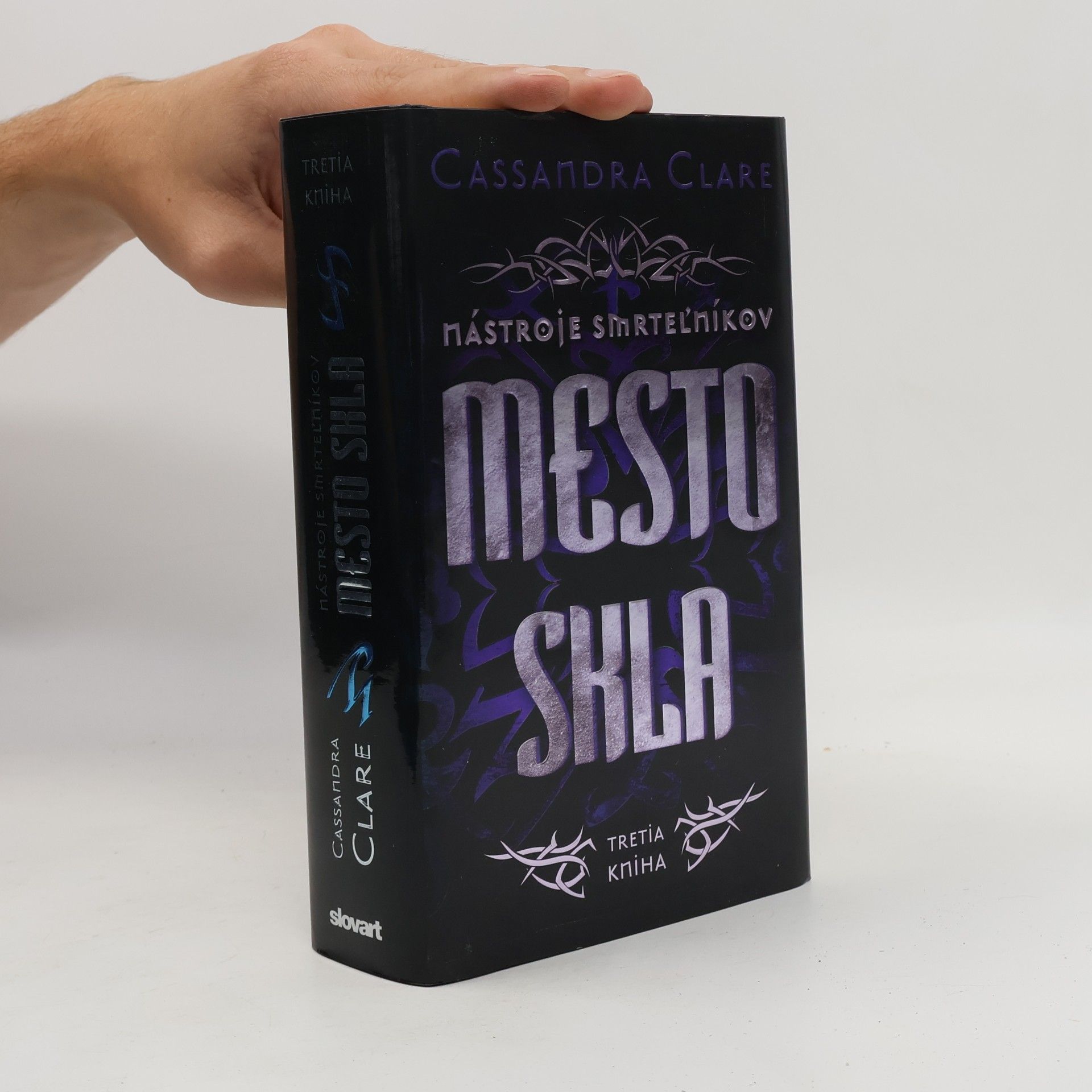 Cassandra Clare Mesto skla