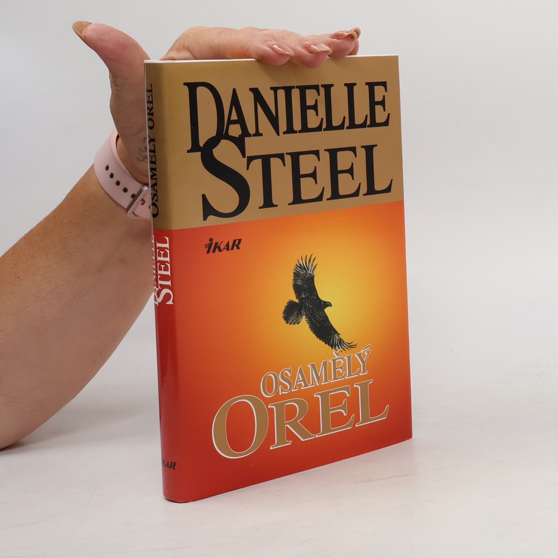 Danielle Steel Osamělý orel