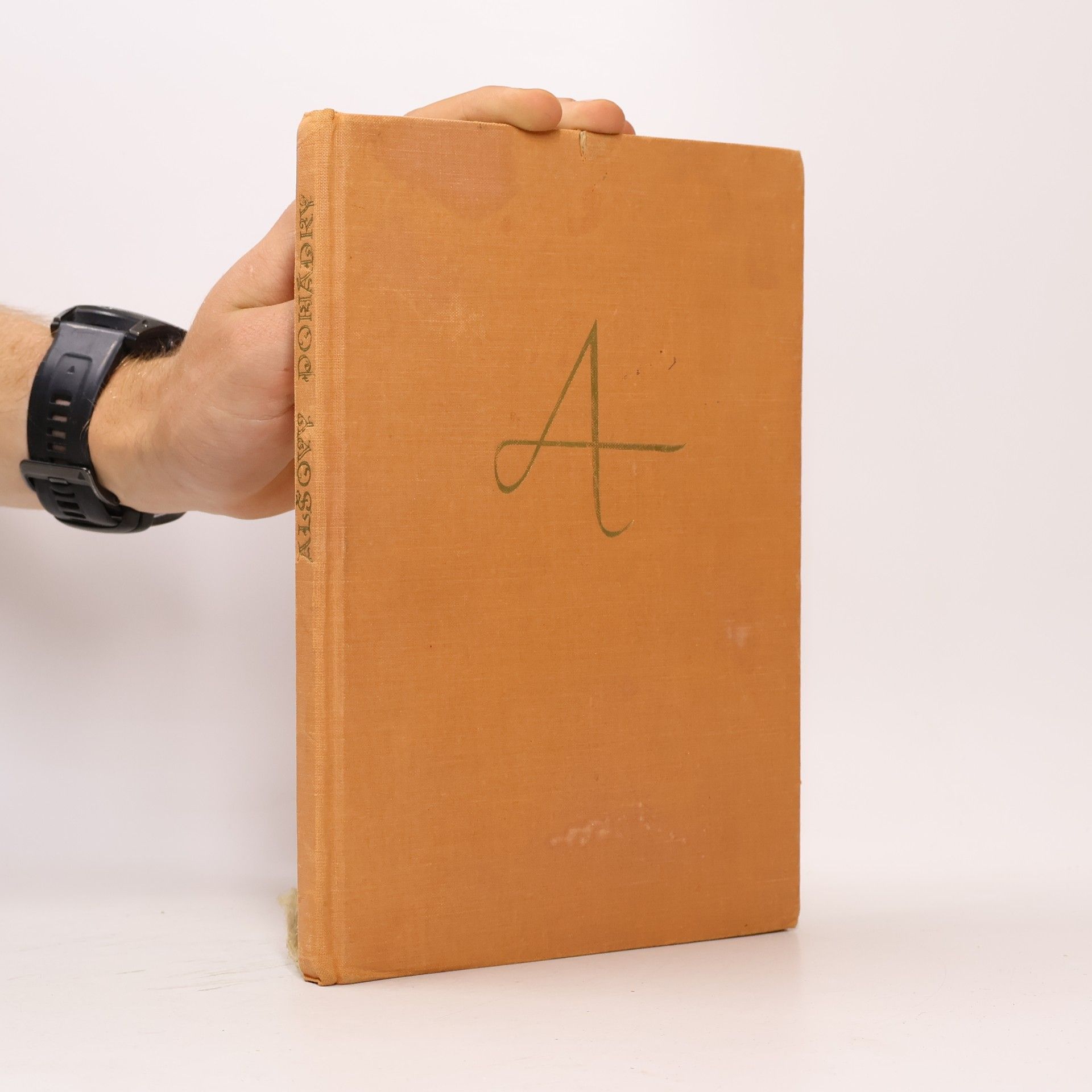 Autorenkollektiv Alšovy pohádky