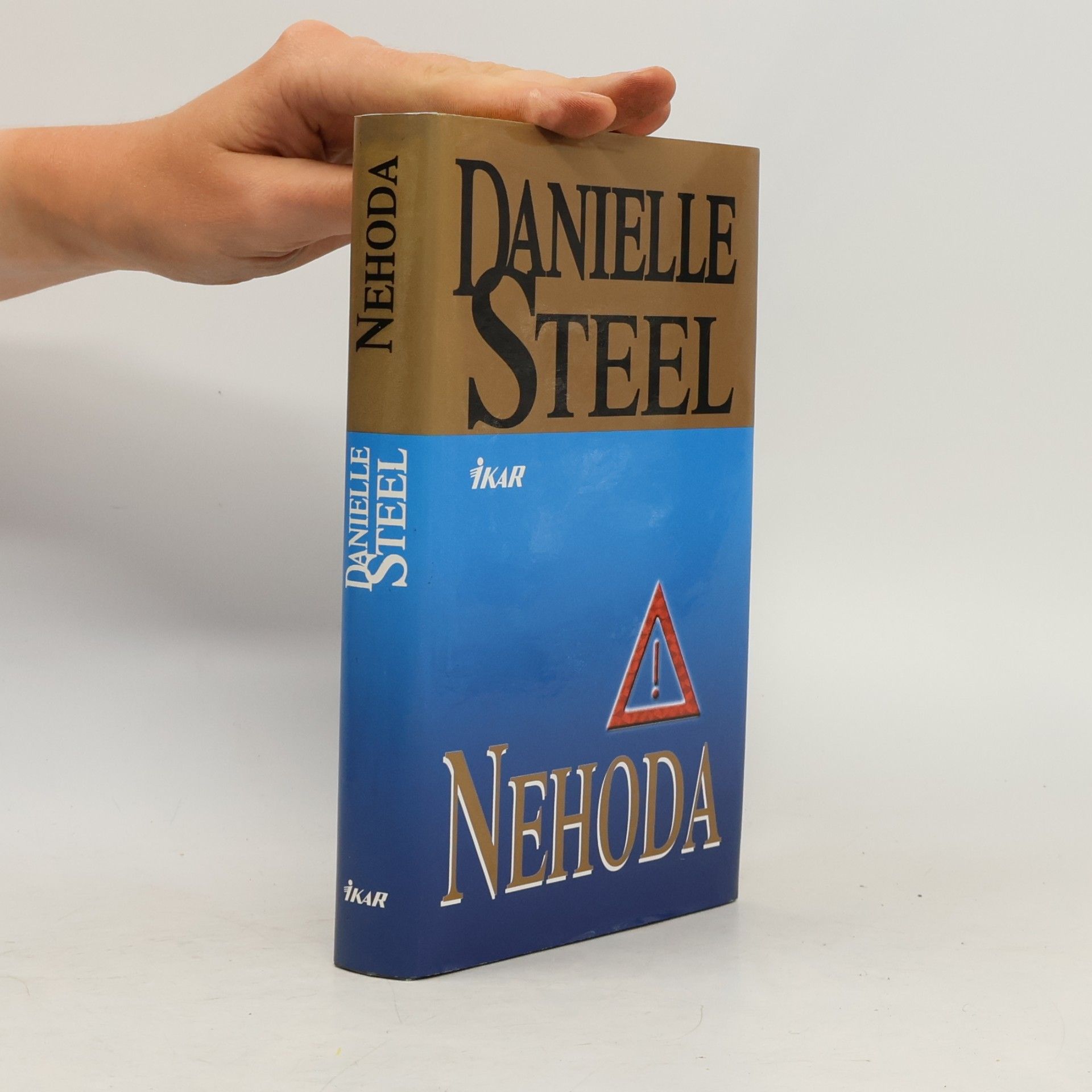 Danielle Steel Nehoda