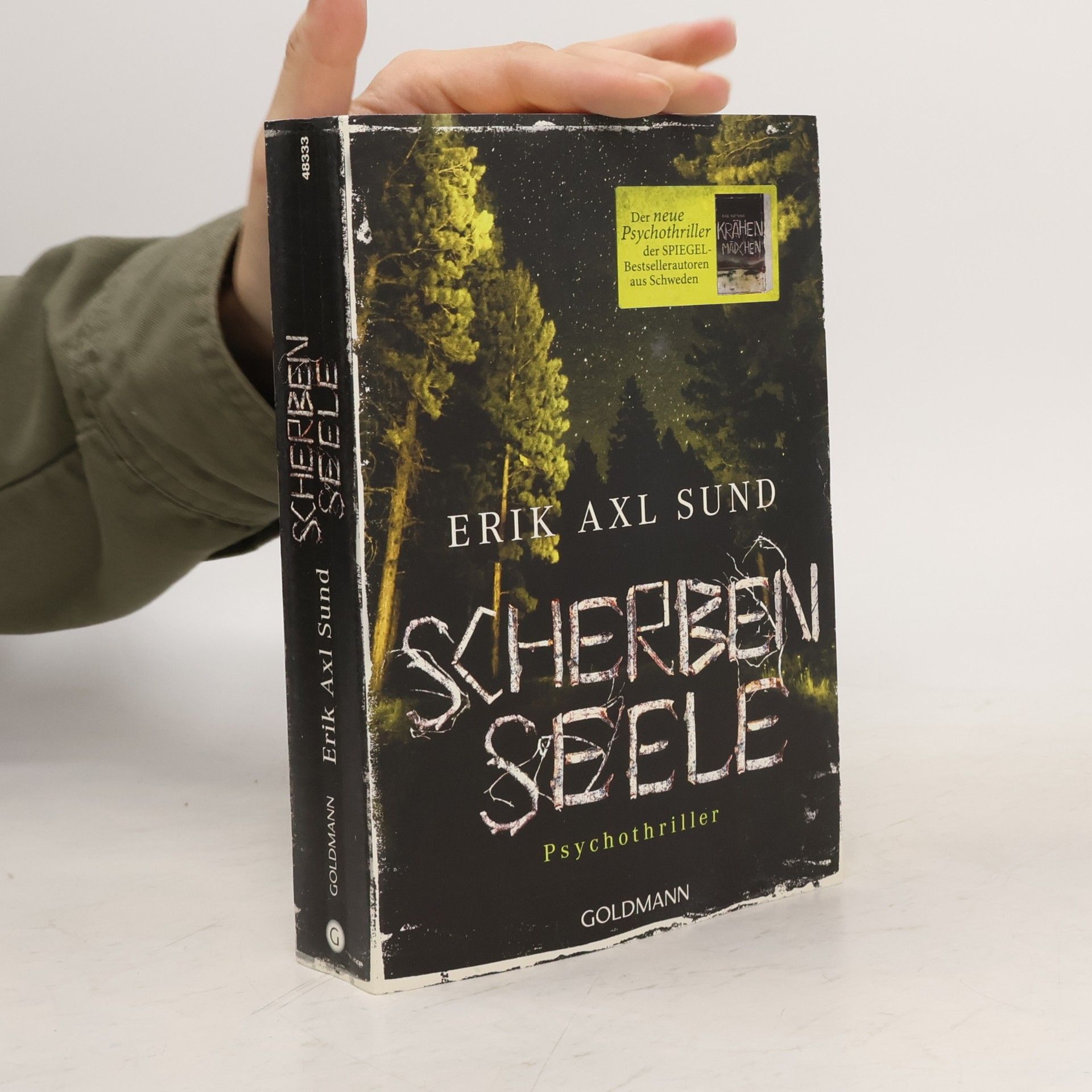 Erik Axl Sund Scherbenseele
