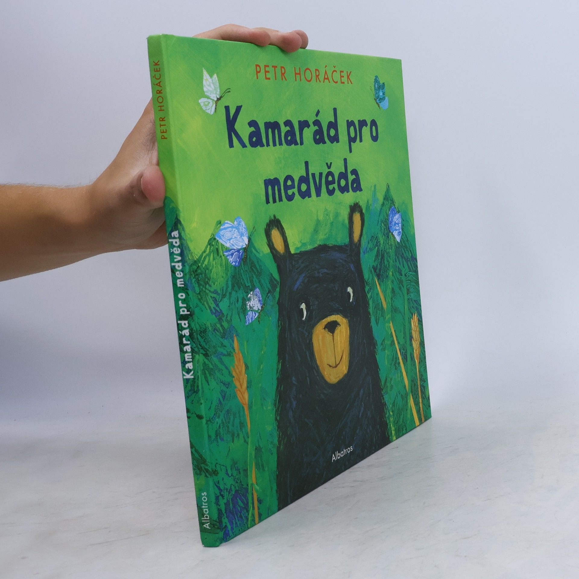 Petr Horáček Kamarád pro medvěda