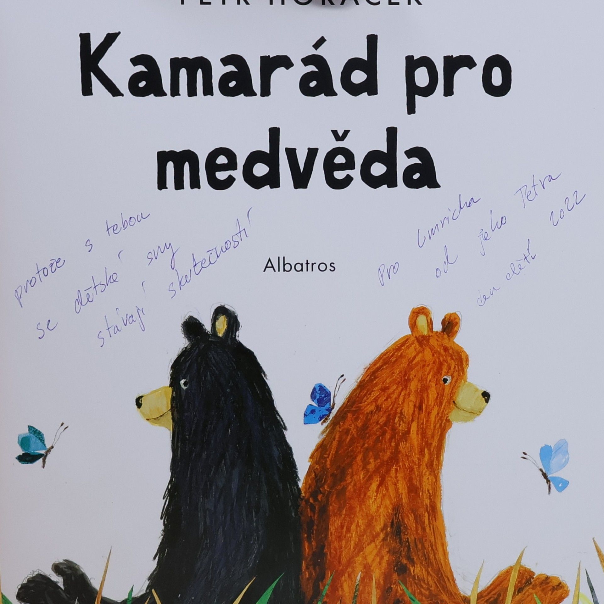 Petr Horáček Kamarád pro medvěda