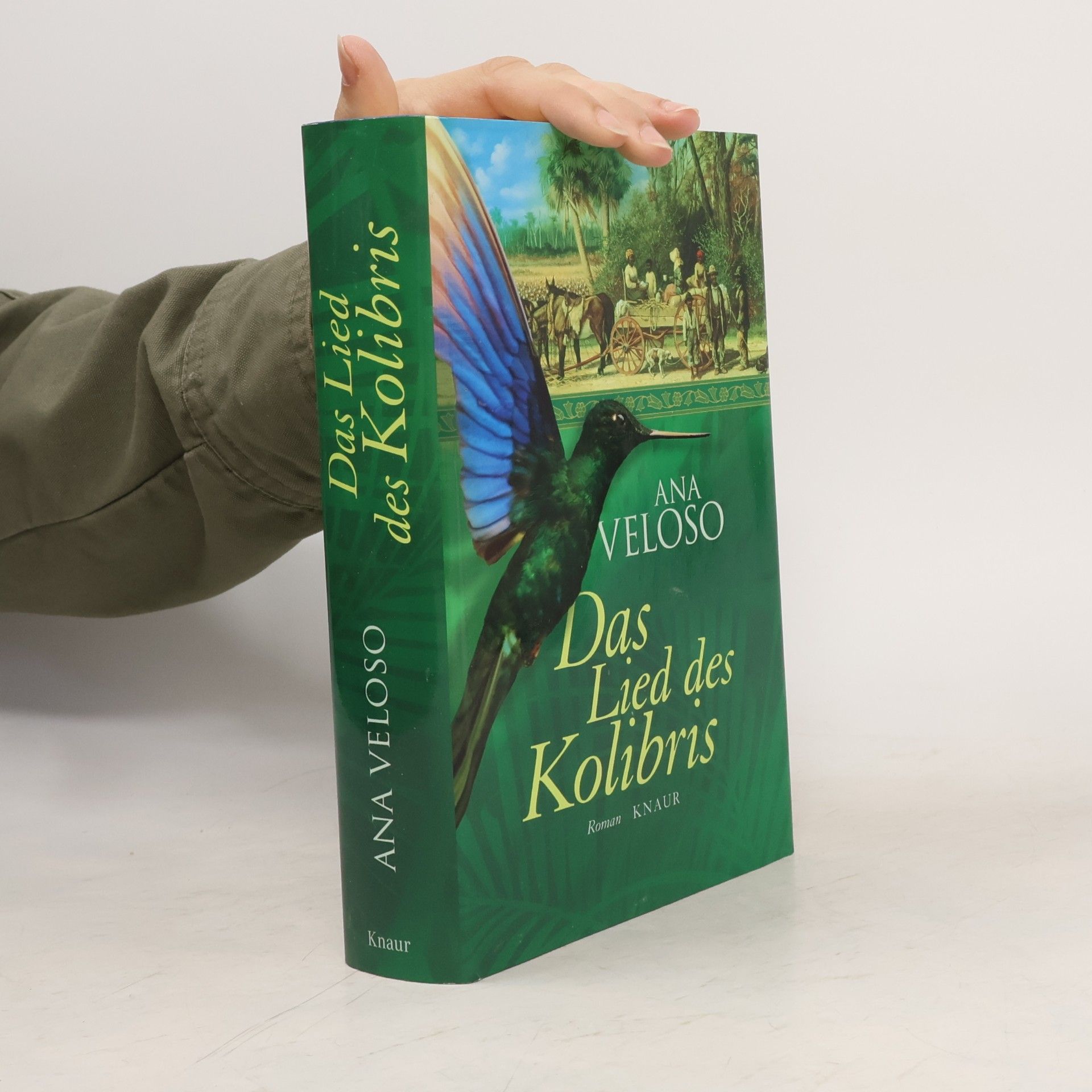 Ana Veloso Das Lied des Kolibris