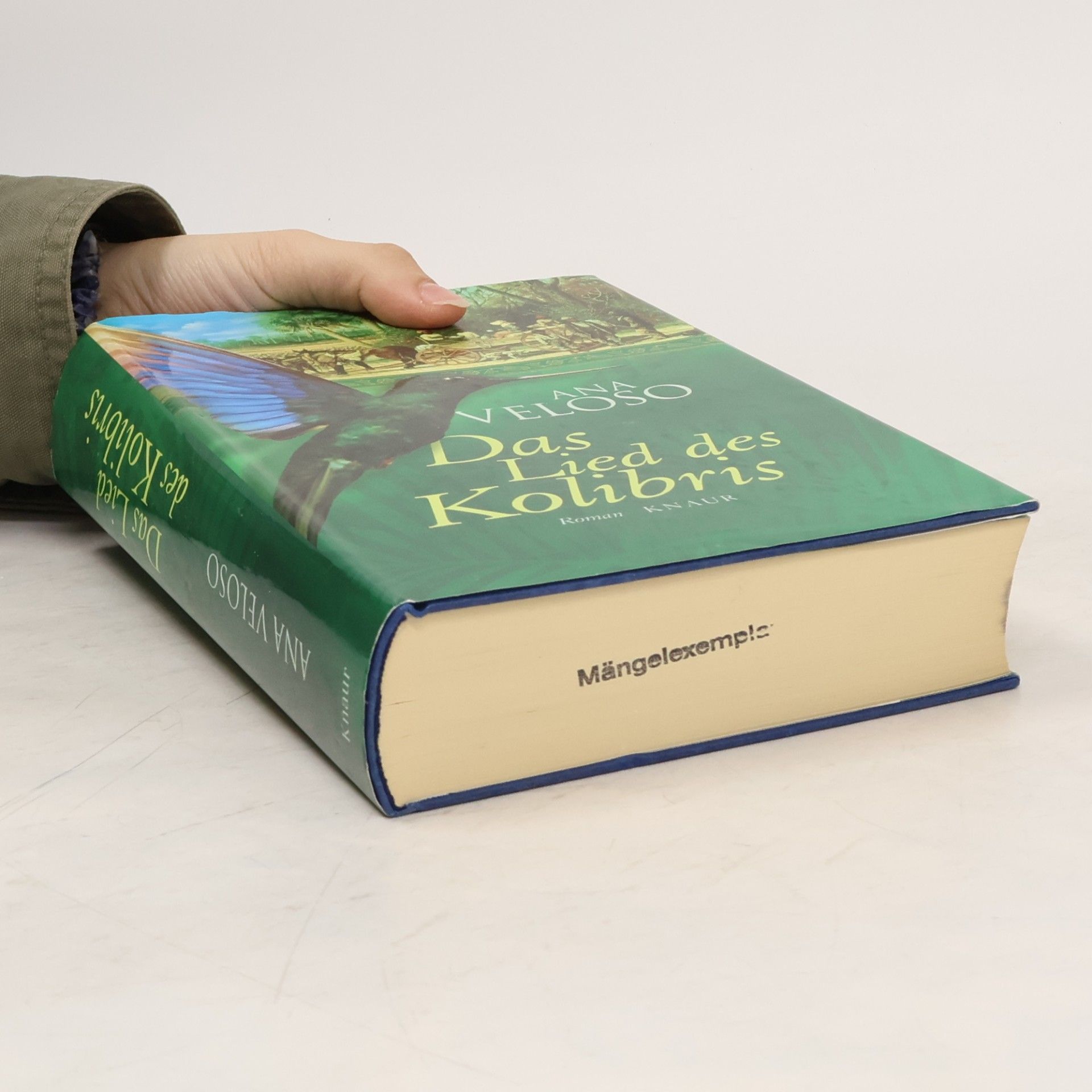 Ana Veloso Das Lied des Kolibris