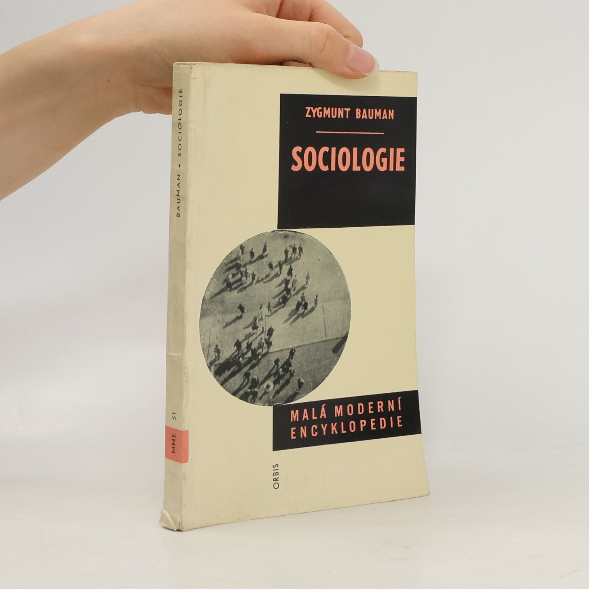 Zygmunt Bauman Sociologie