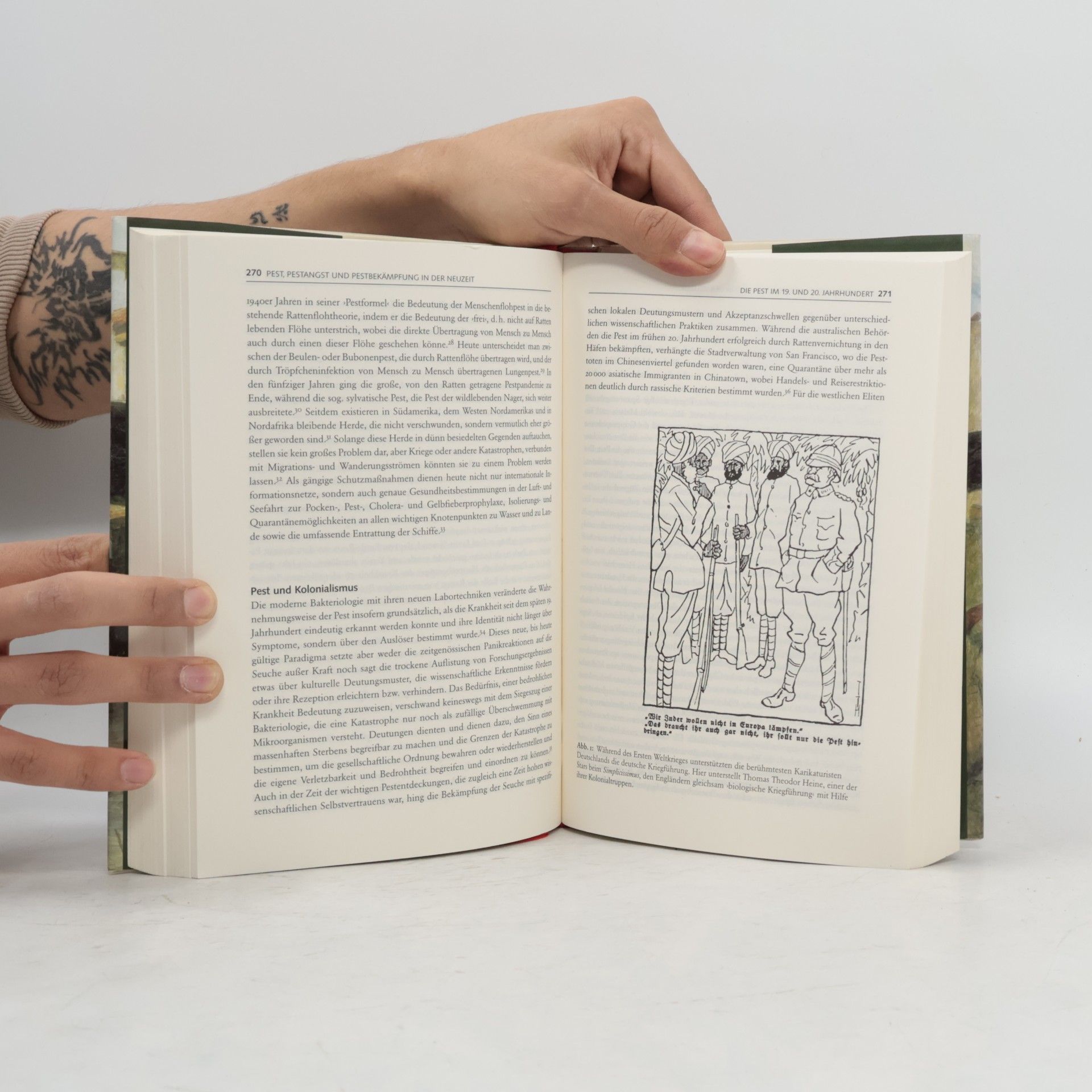 Mischa Meier Pest