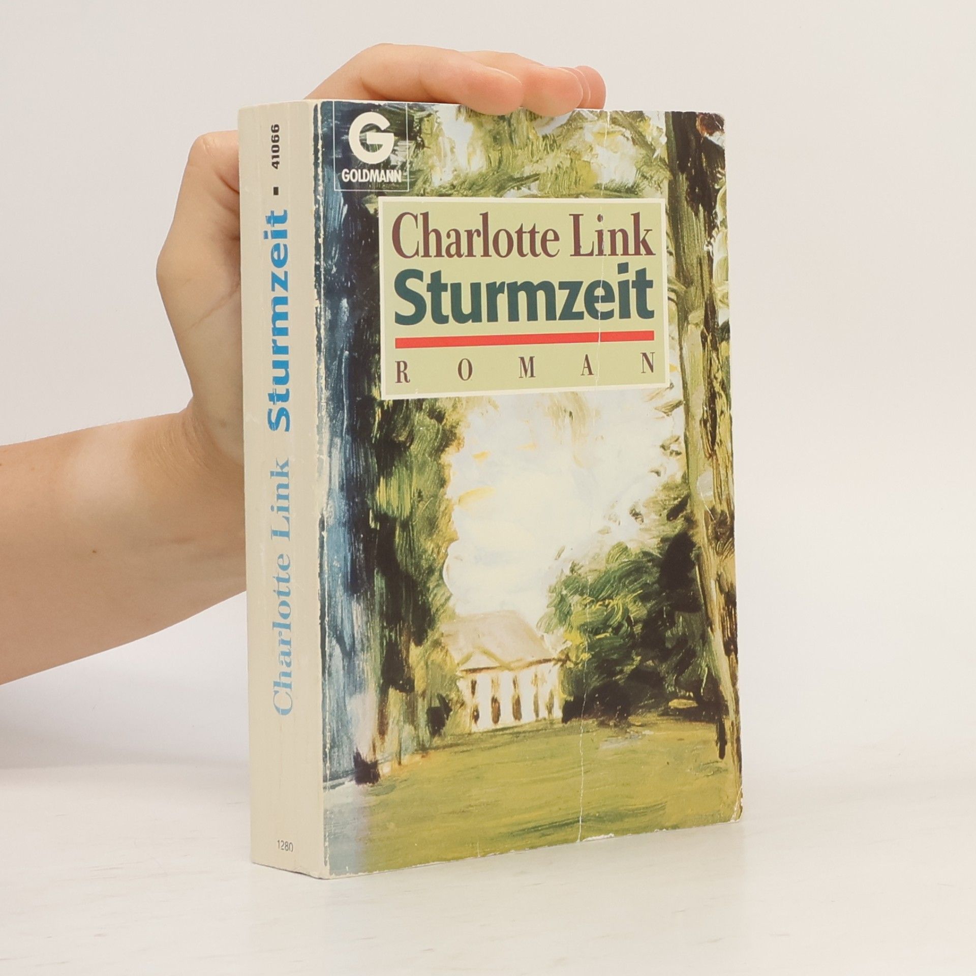 Charlotte Link Sturmzeit