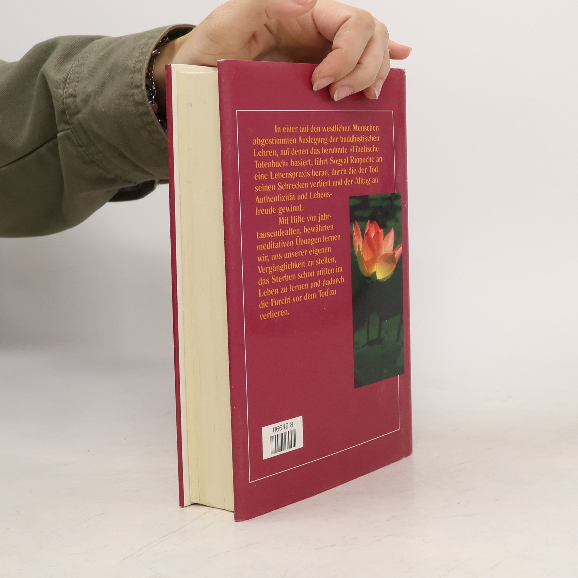 Sogyal Rinpoche Das Tibetische Buch vom Leben und vom Sterben