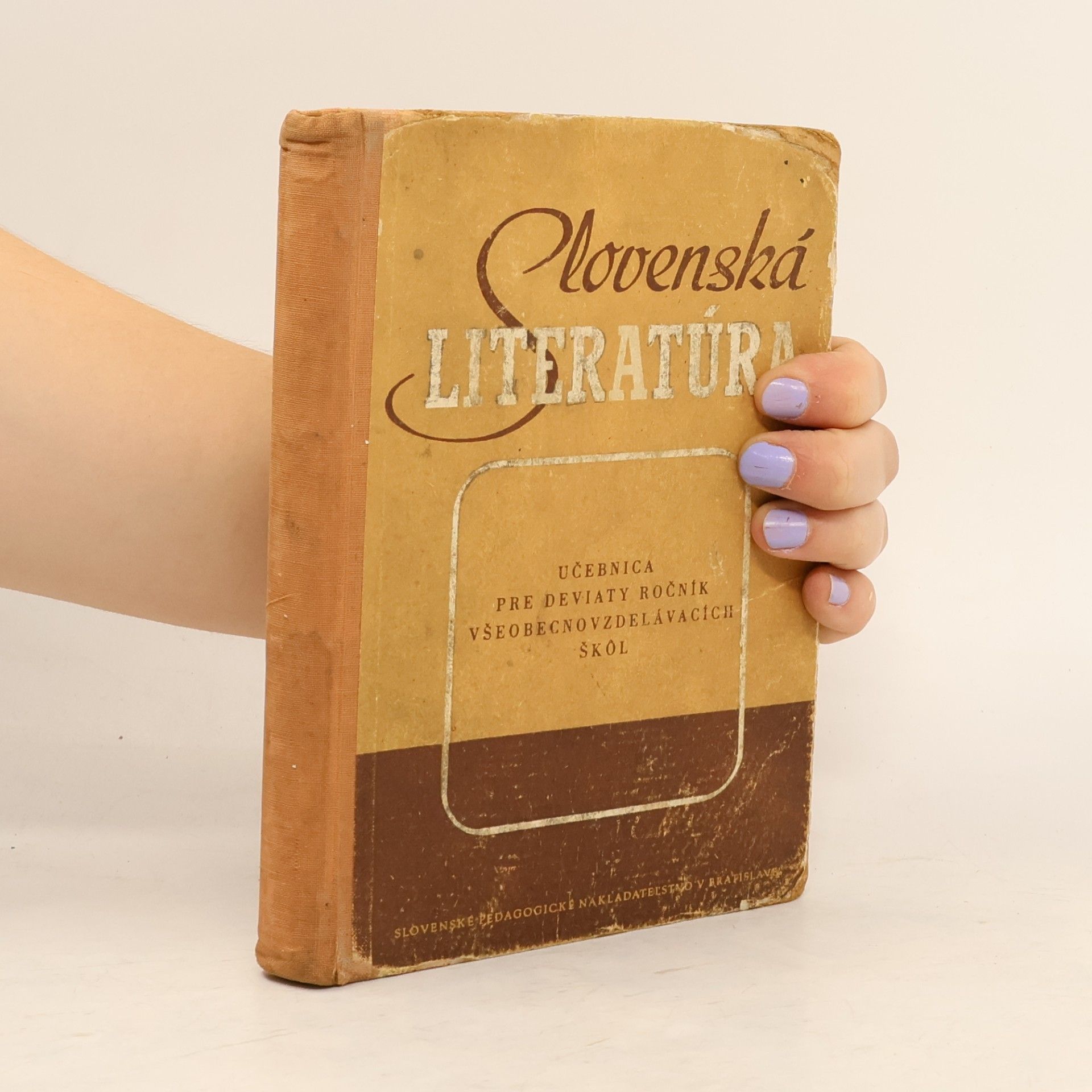 Kolektiv autorů Slovenská literatúra