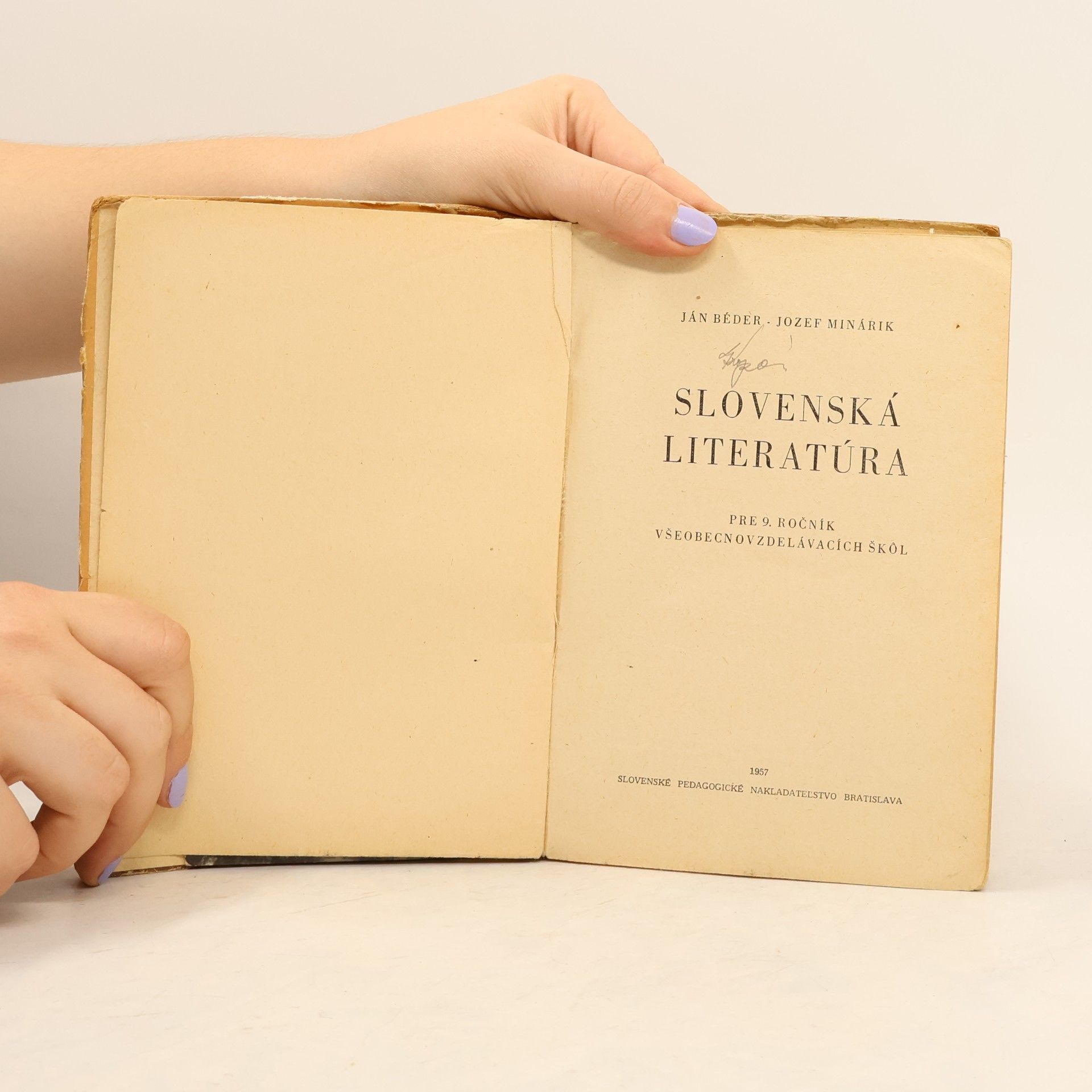 Kolektiv autorů Slovenská literatúra