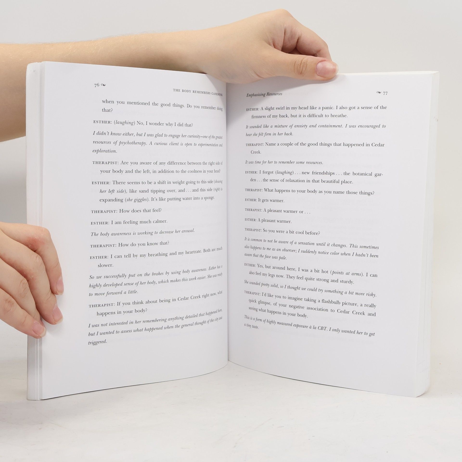 Babette Rothschild The Body Remembers Casebook
