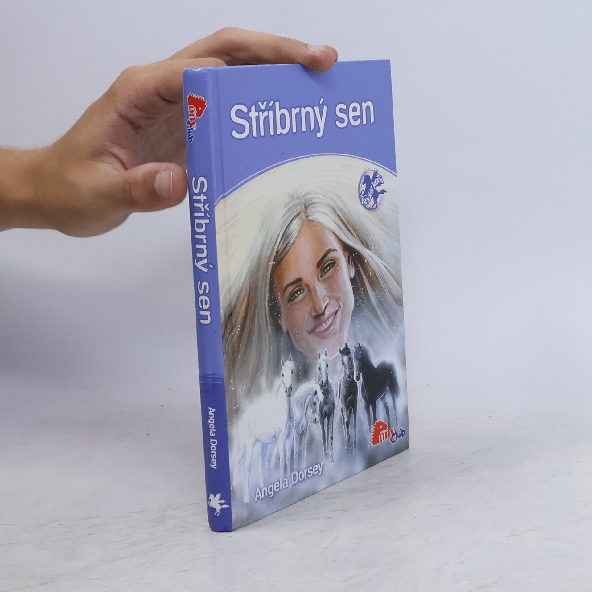 Angela Dorsey Stříbrný sen