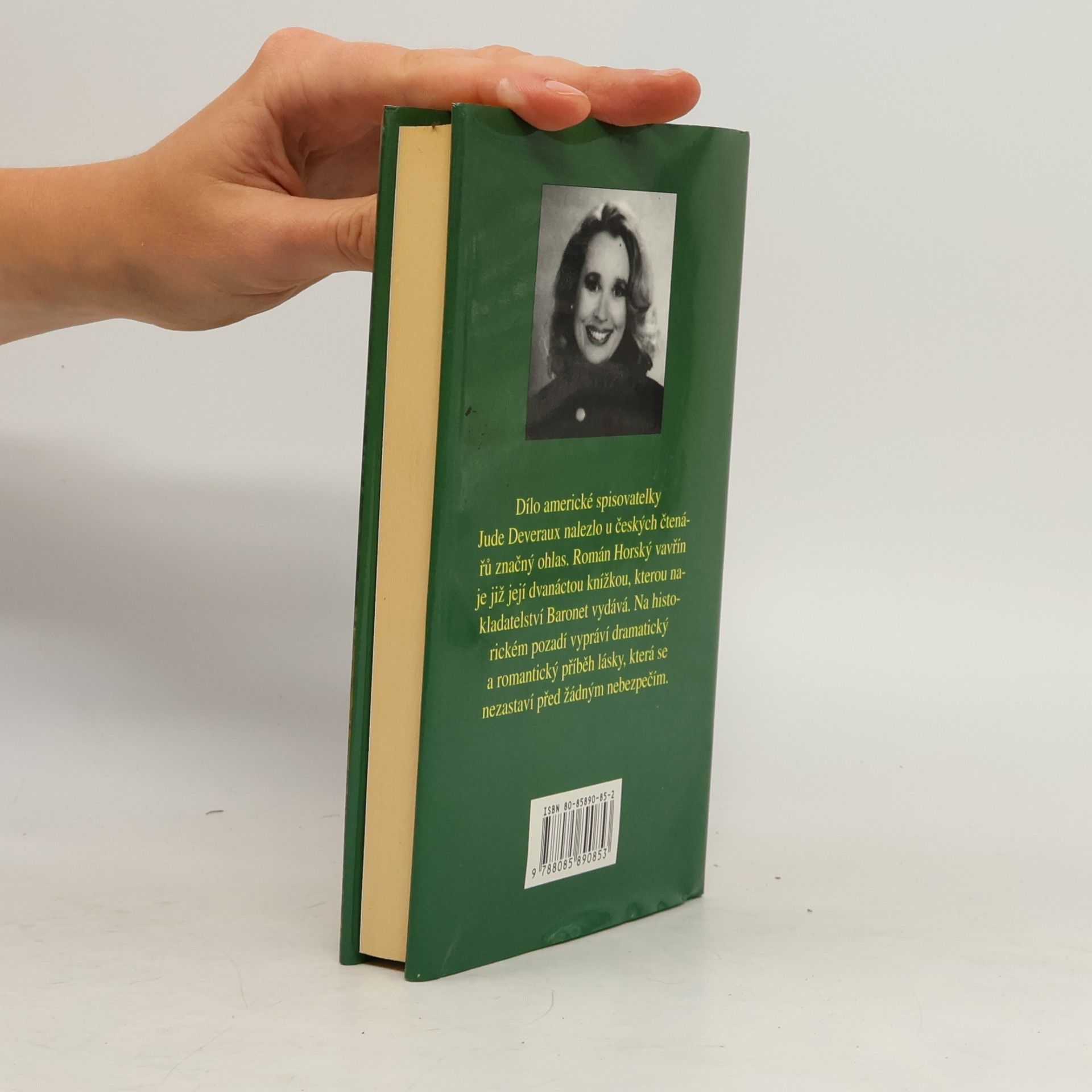 Jude Deveraux Horský vavřín