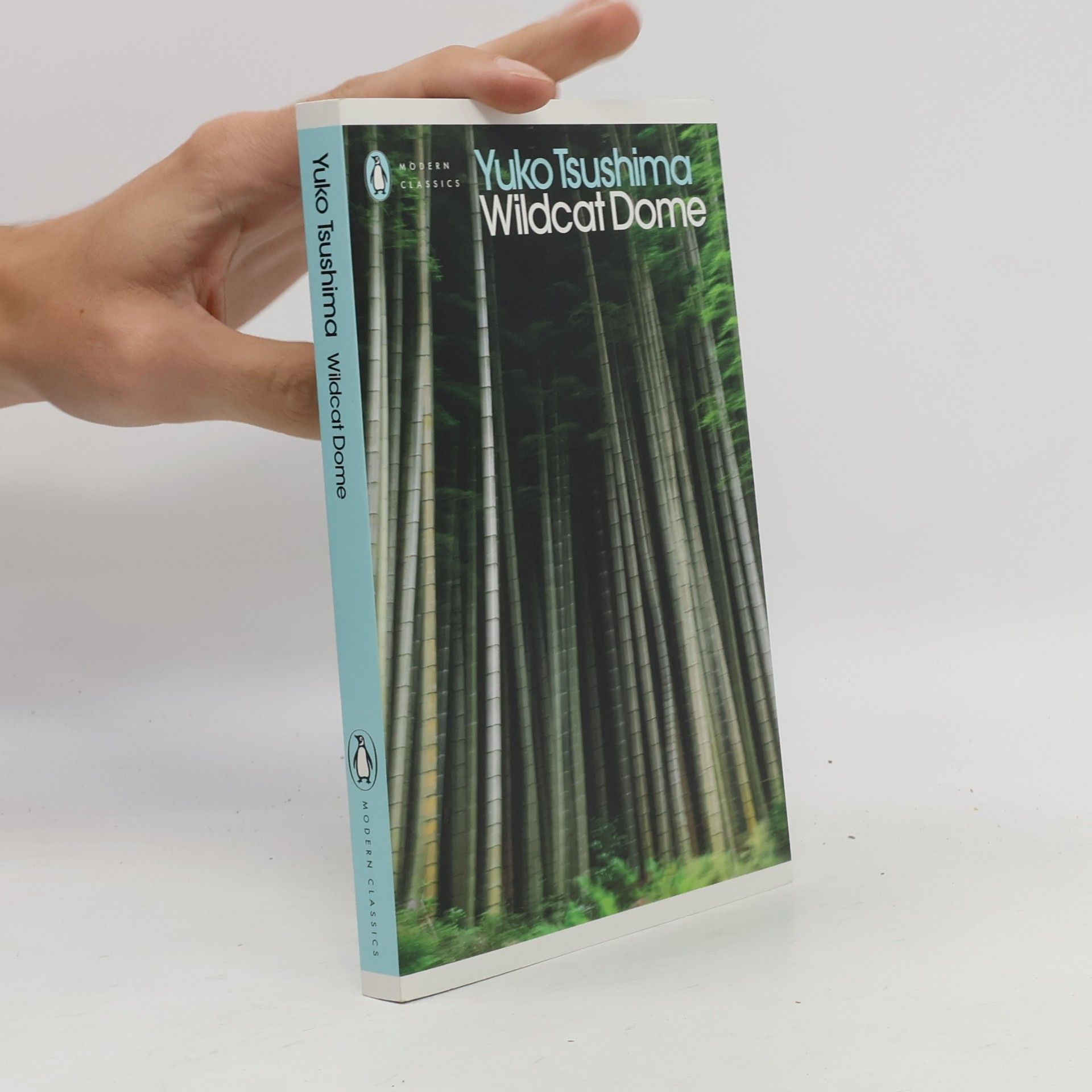 Yūko Tsushima Modern Classics: Wildcat Dome