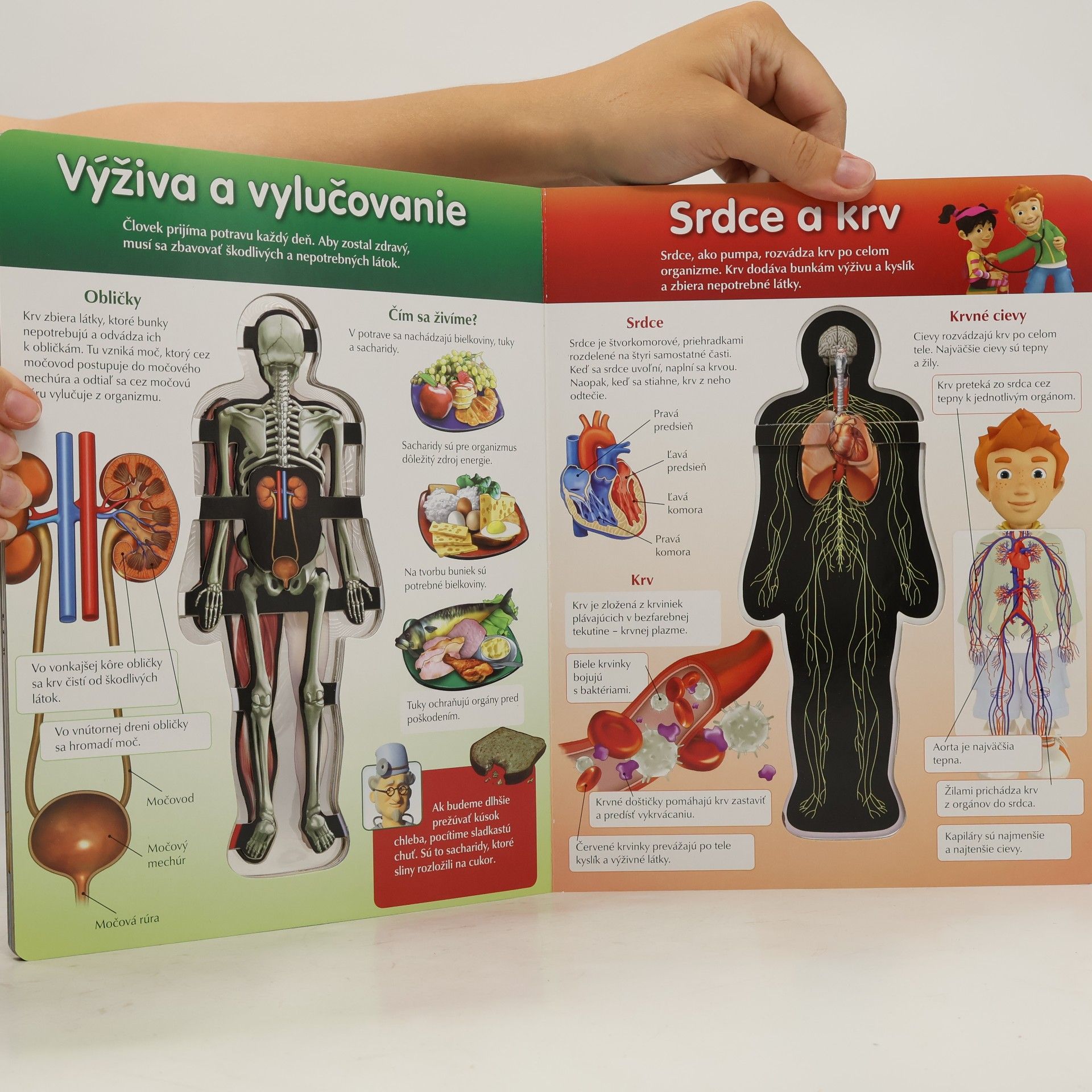 Various authors Z čoho sa skladá naše telo?