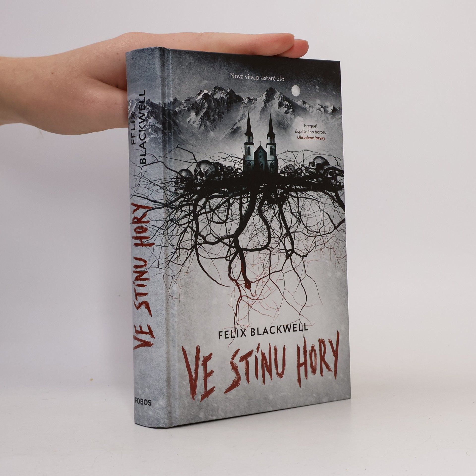 Ve stínu hory