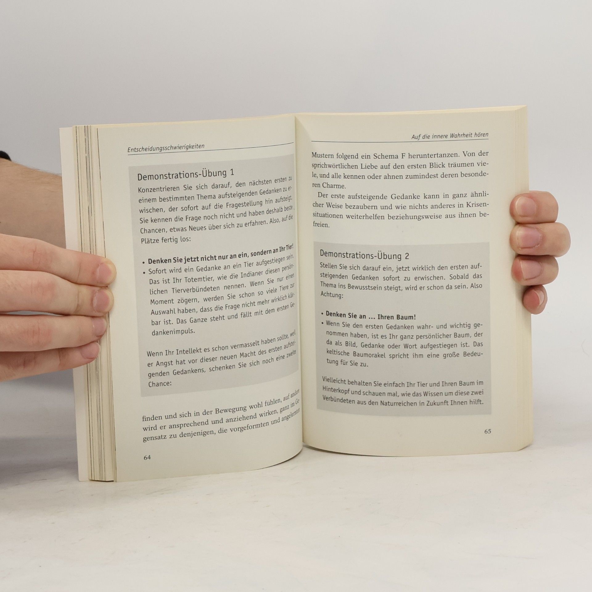 Ruediger Dahlke Die Notfallapotheke für die Seele