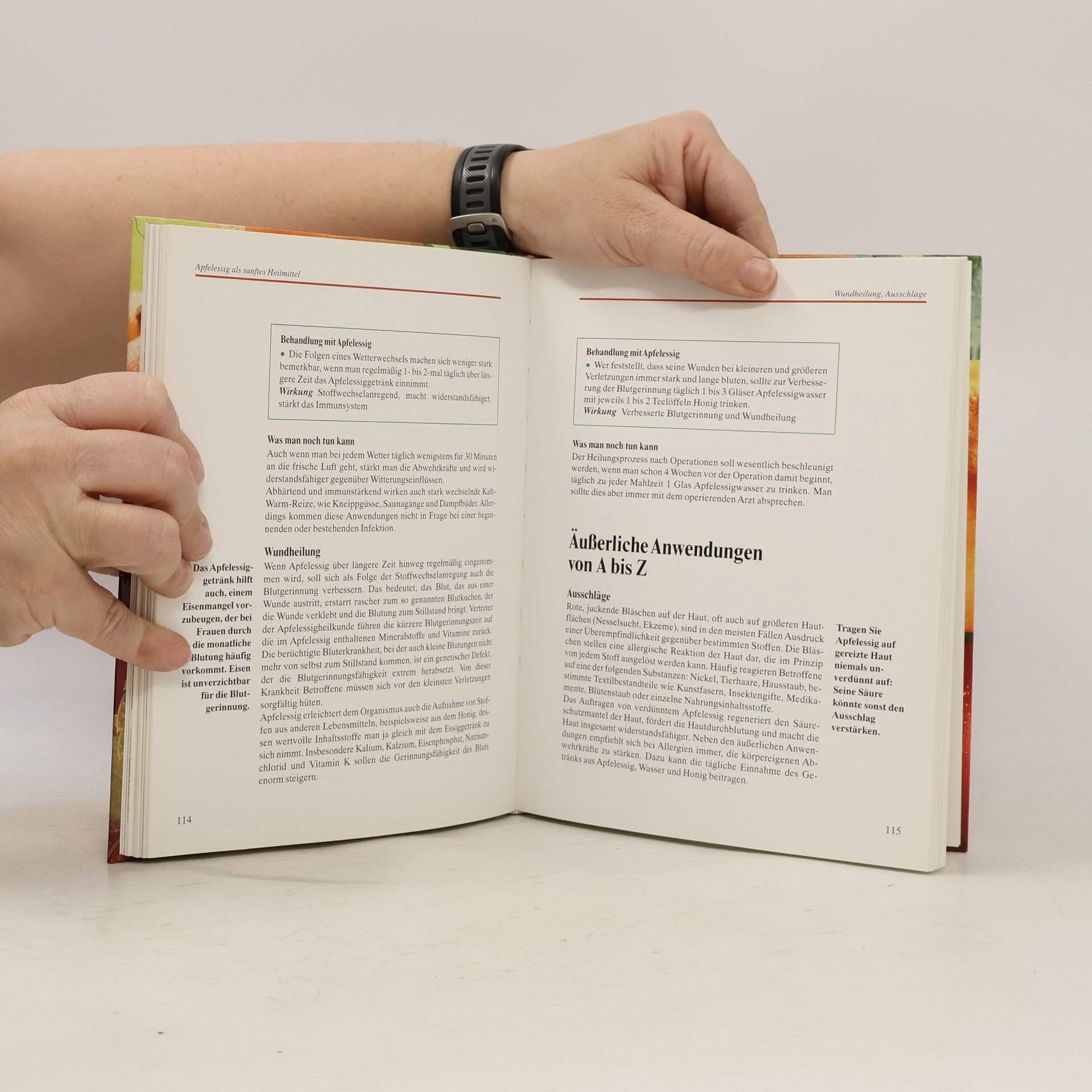 Margot Hellmiß Das grosse Praxisbuch Apfelessig