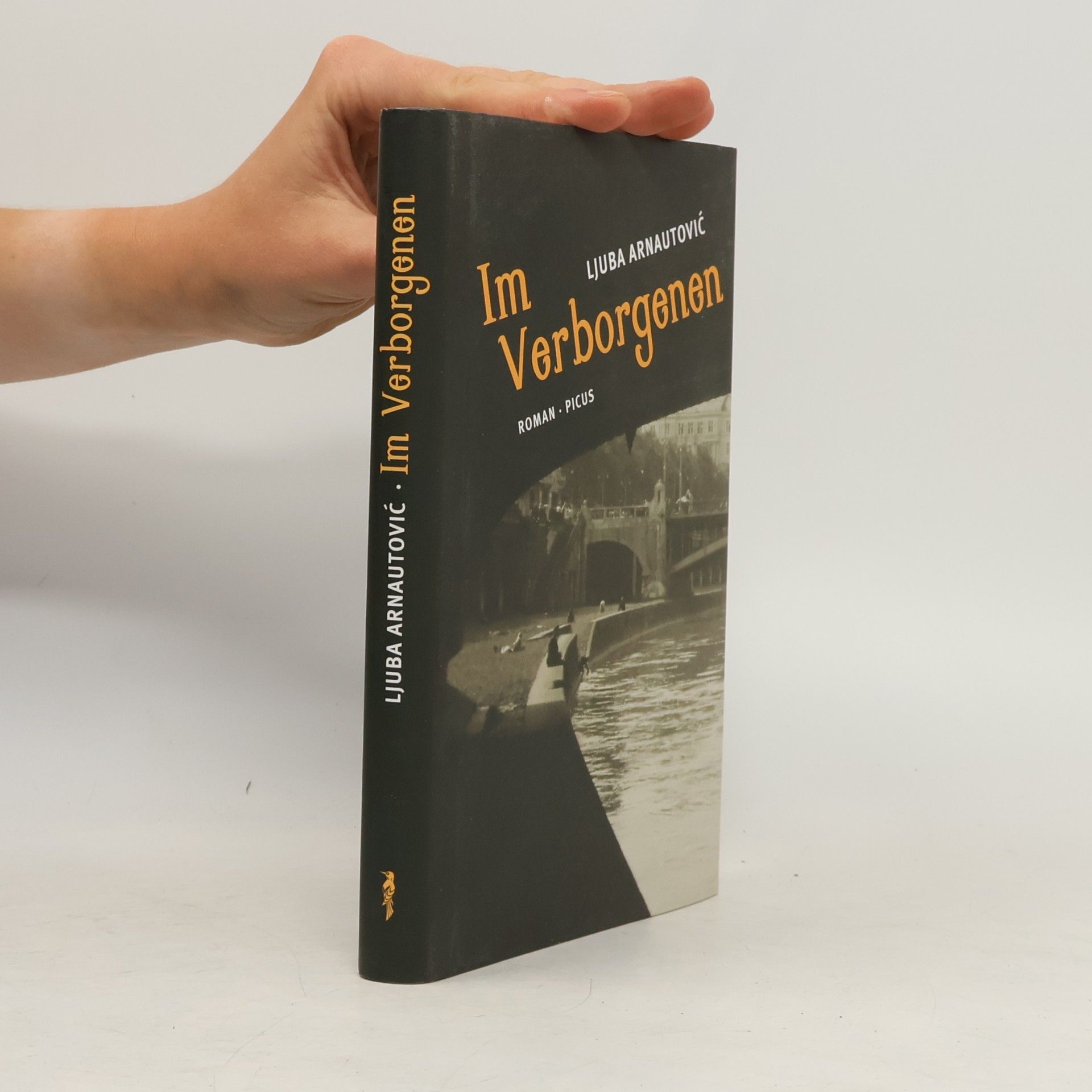 Ljuba Arnautović Im Verborgenen