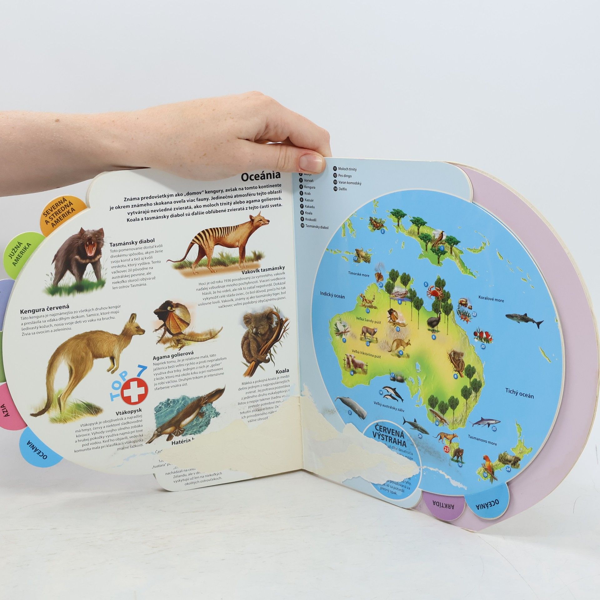 Autorenkollektiv Atlas kráľovstva zvierat