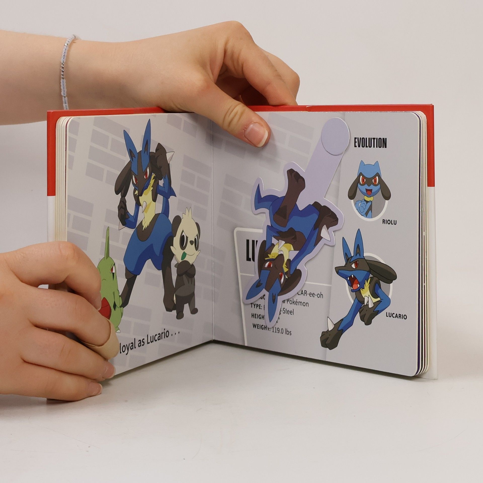 Evie Daye Positively Pokémon: Pop Up, Play, and Display!