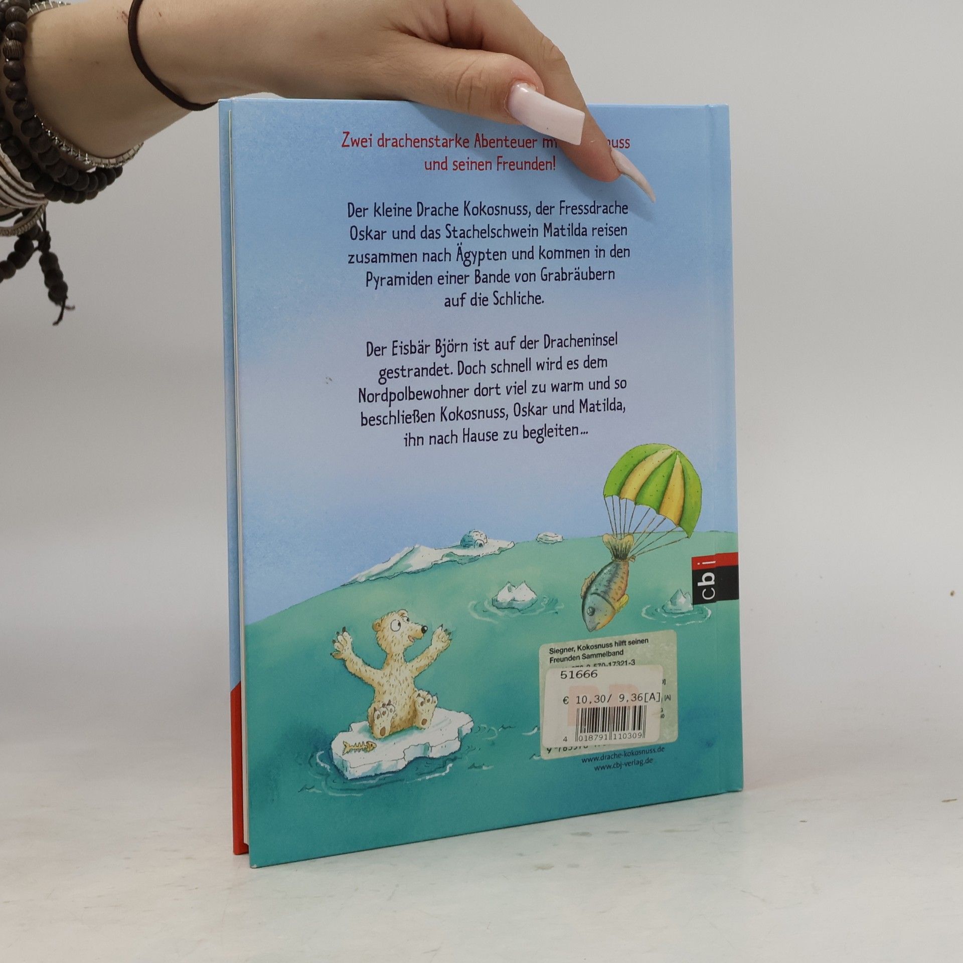 Ingo Seigner Der kleine Drache Kokosnuss hilft seinen Freunden