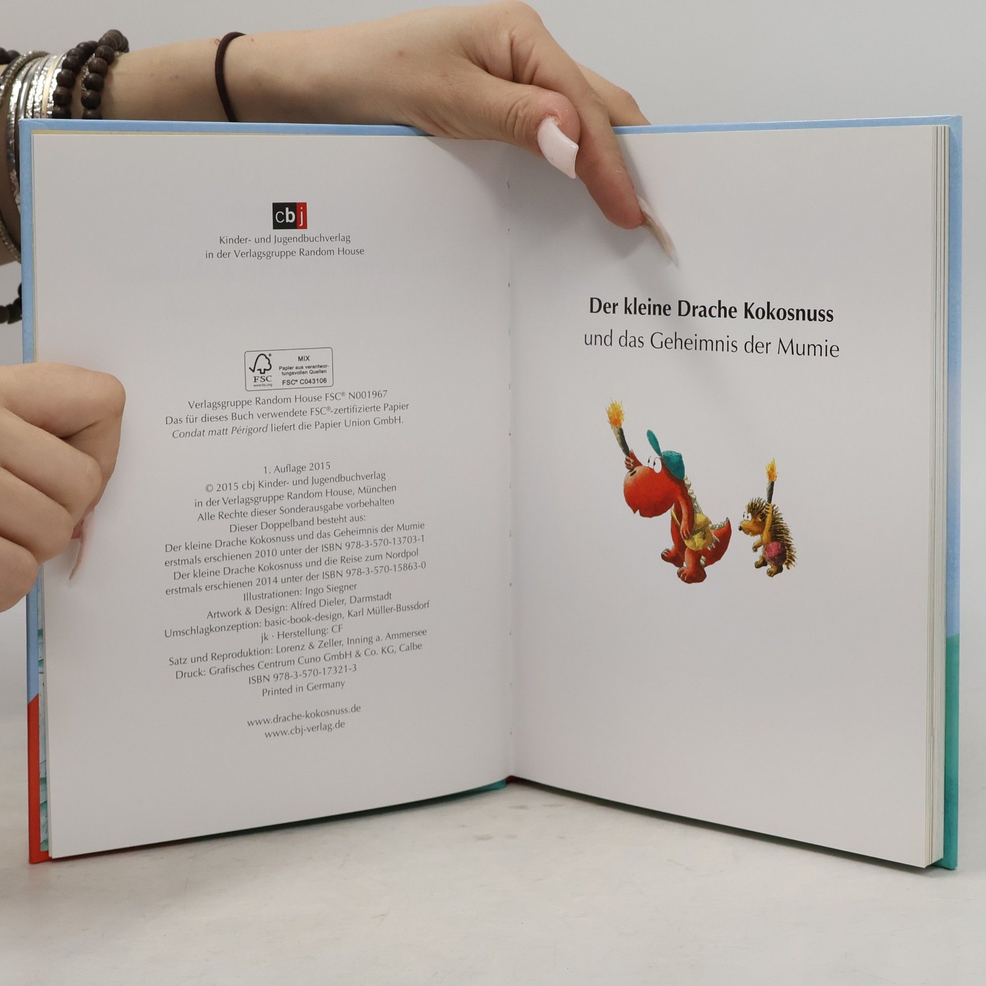 Ingo Seigner Der kleine Drache Kokosnuss hilft seinen Freunden