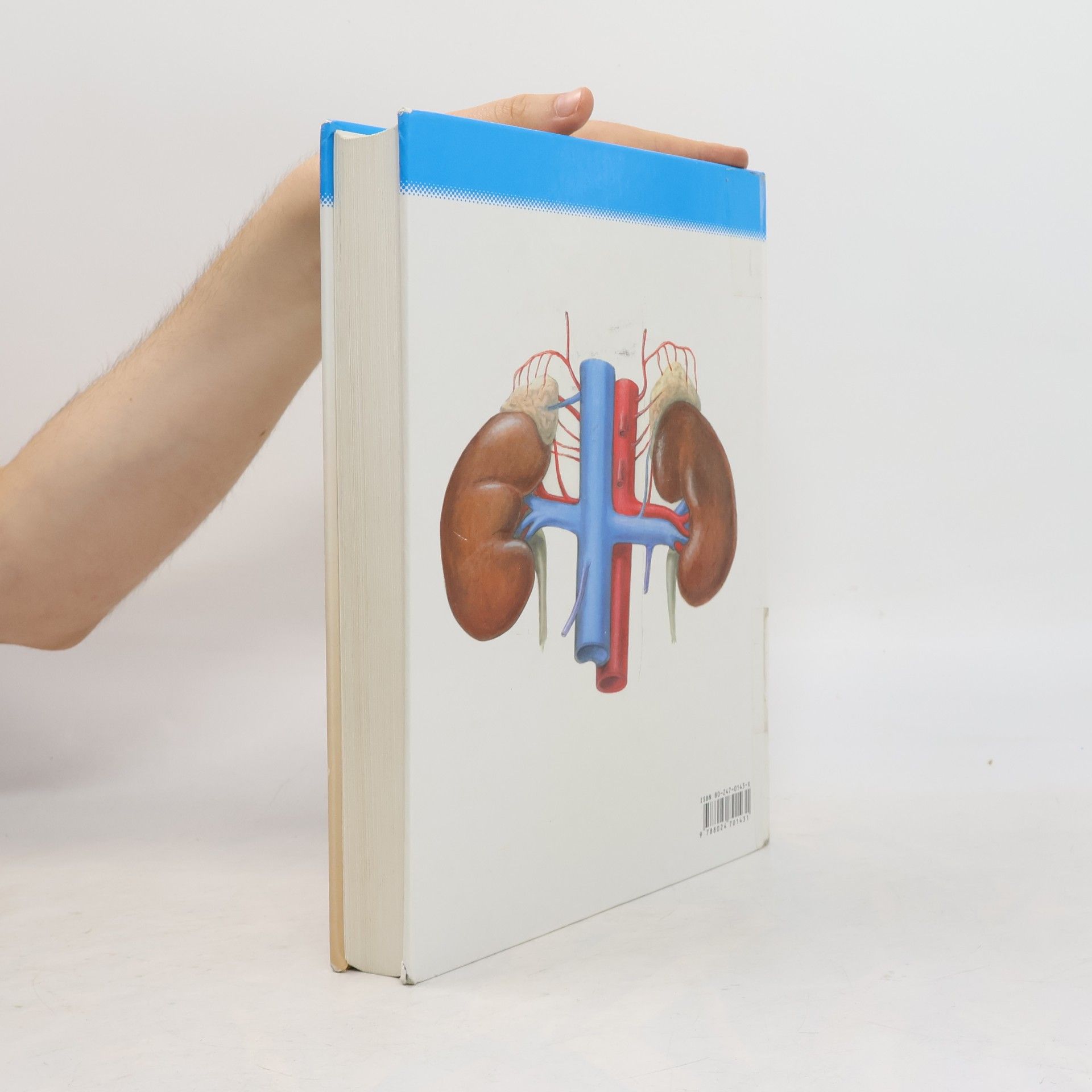 Radomír Čihák Anatomie 2