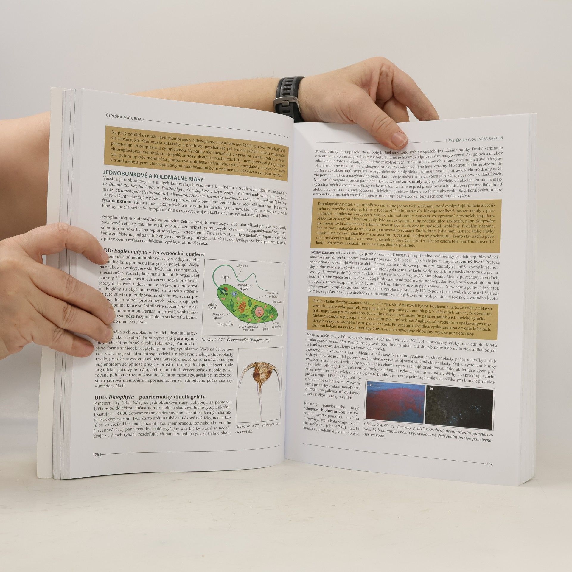 Collectif d'auteurs Úspešná maturita: Biológia