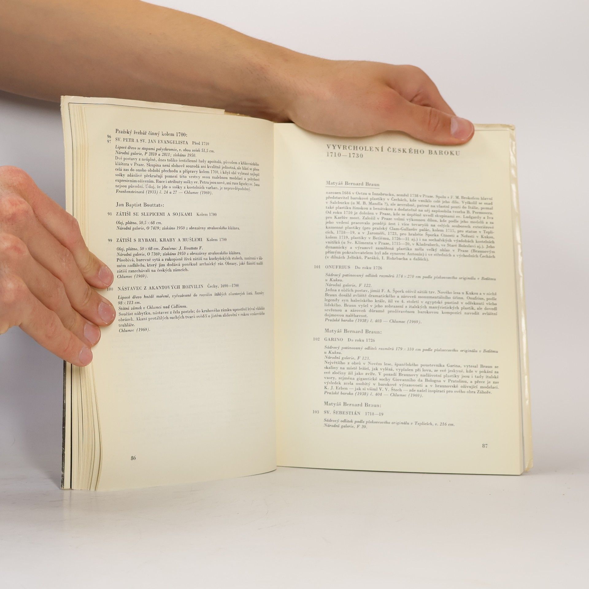 Various authors Barok v Čechách