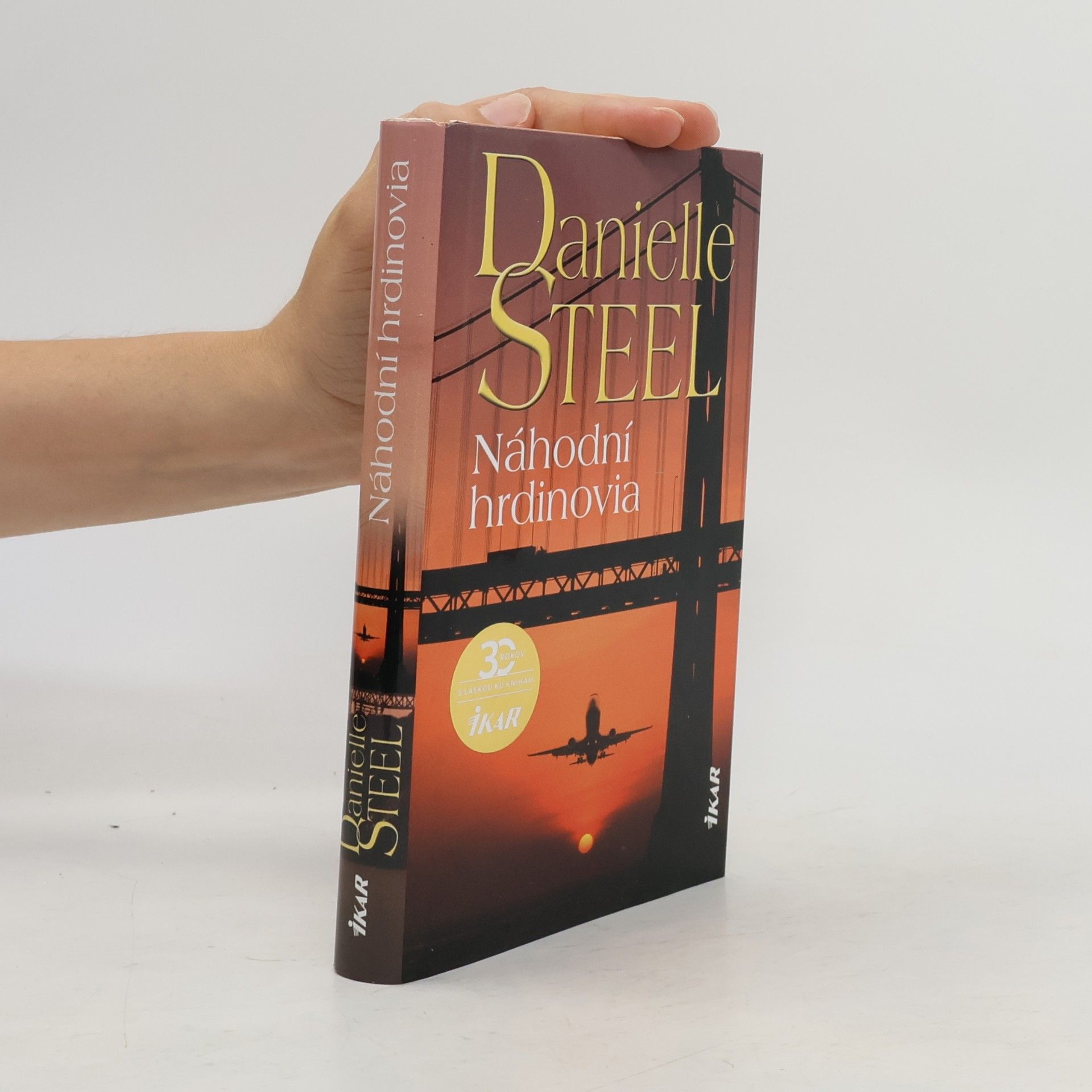 Danielle Steelová Náhodní hrdinovia