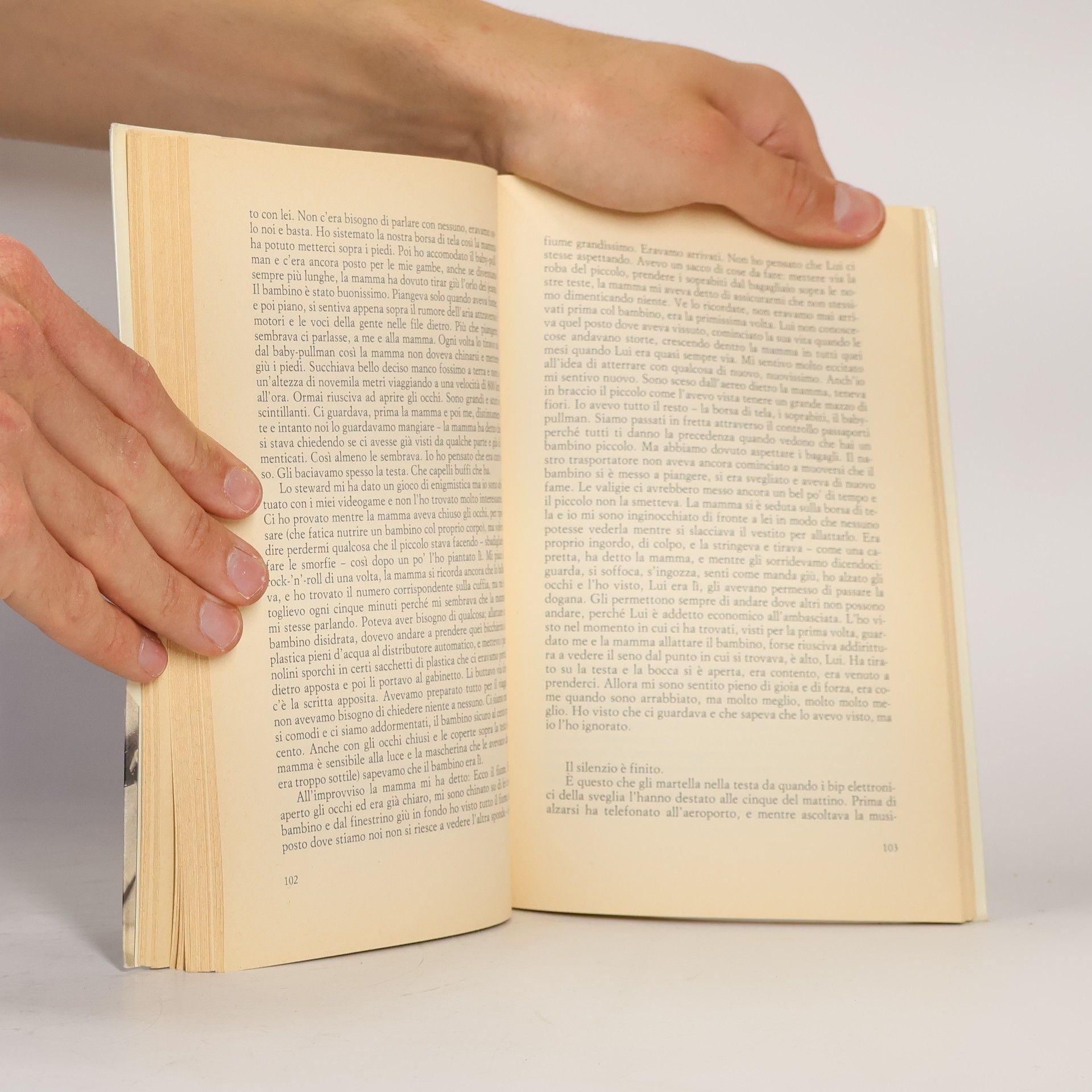 Nadine Gordimer Il salto