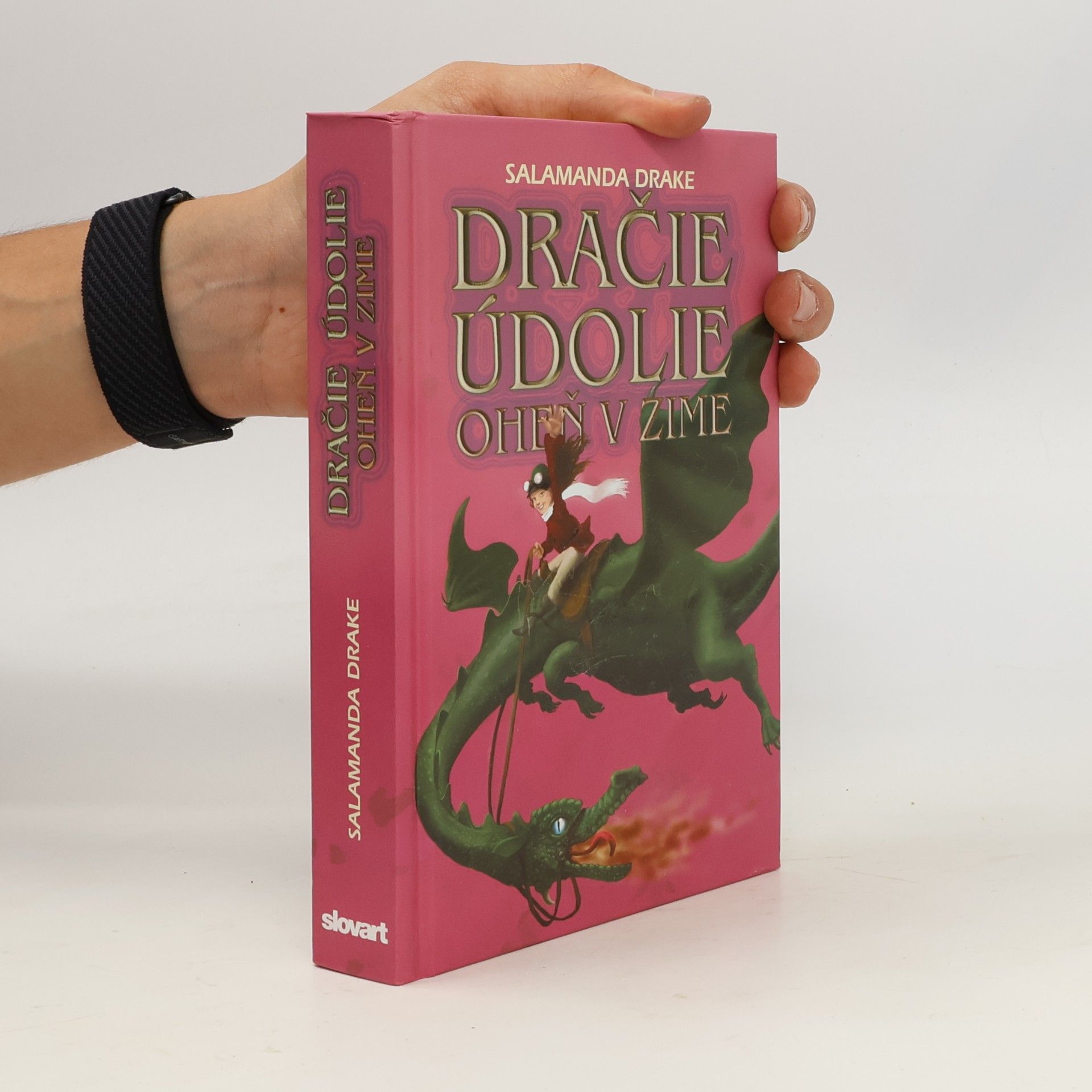Salamanda Drake Dračie údolie - Oheň v zime