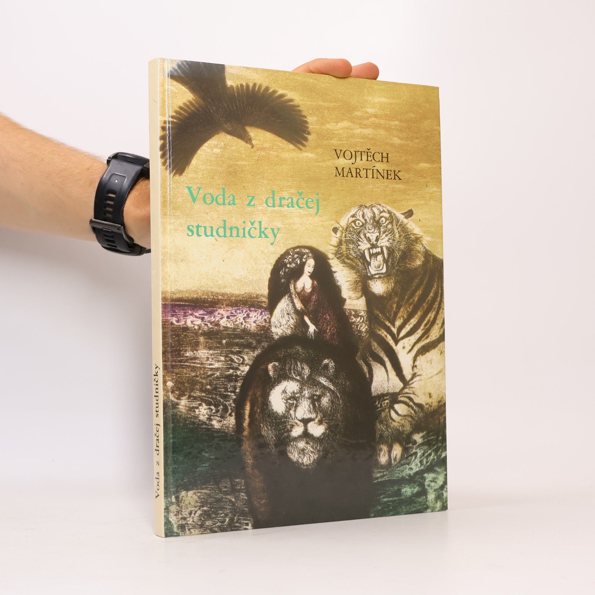 Vojtěch Martínek Voda z dračej studničky