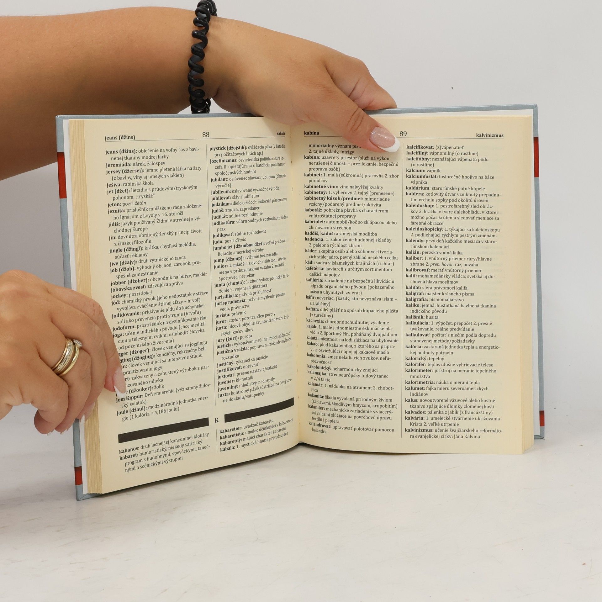 Autorenkollektiv Súčasný slovník cudzích slov pre školy a dennú prax