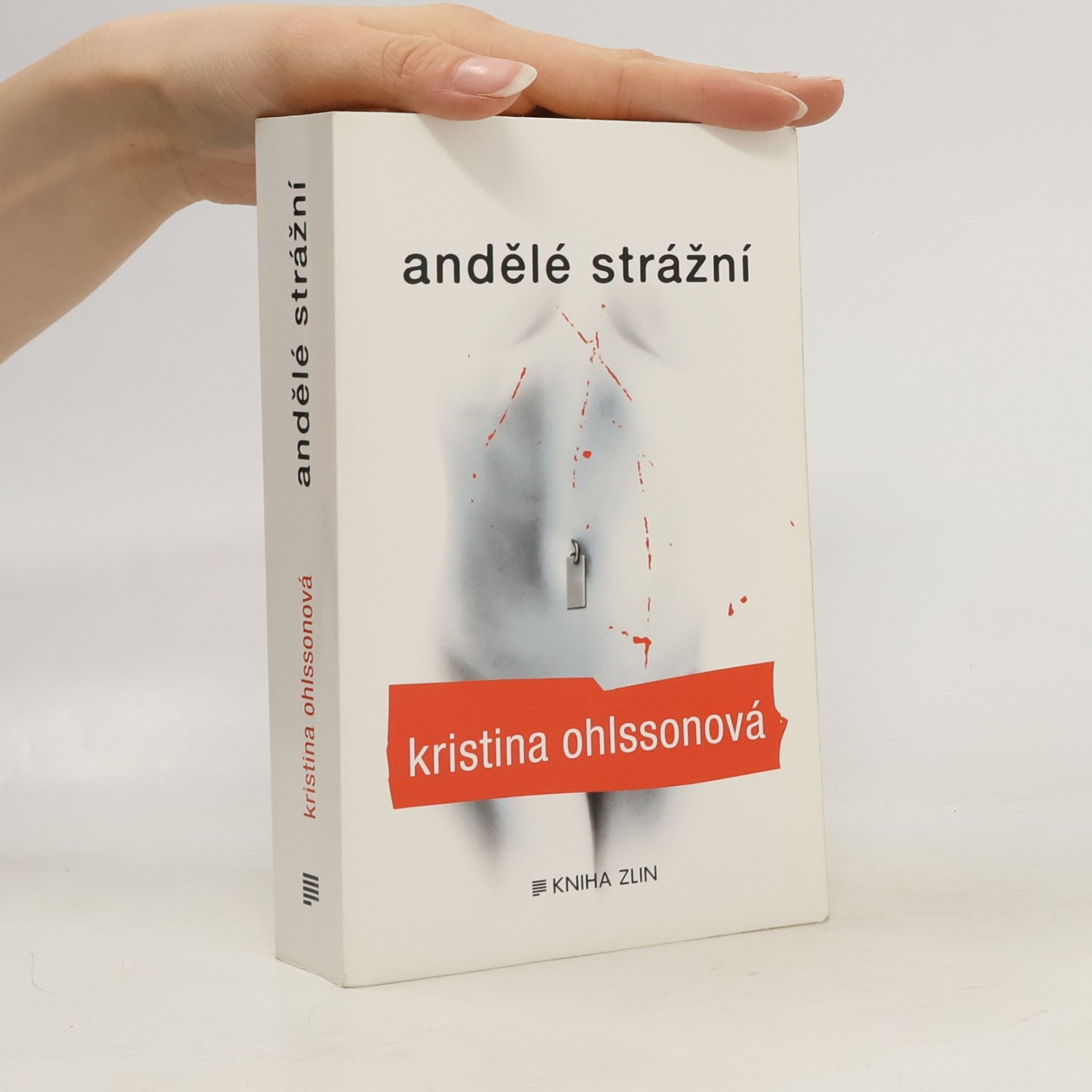 Kristina Ohlsson Andělé strážní